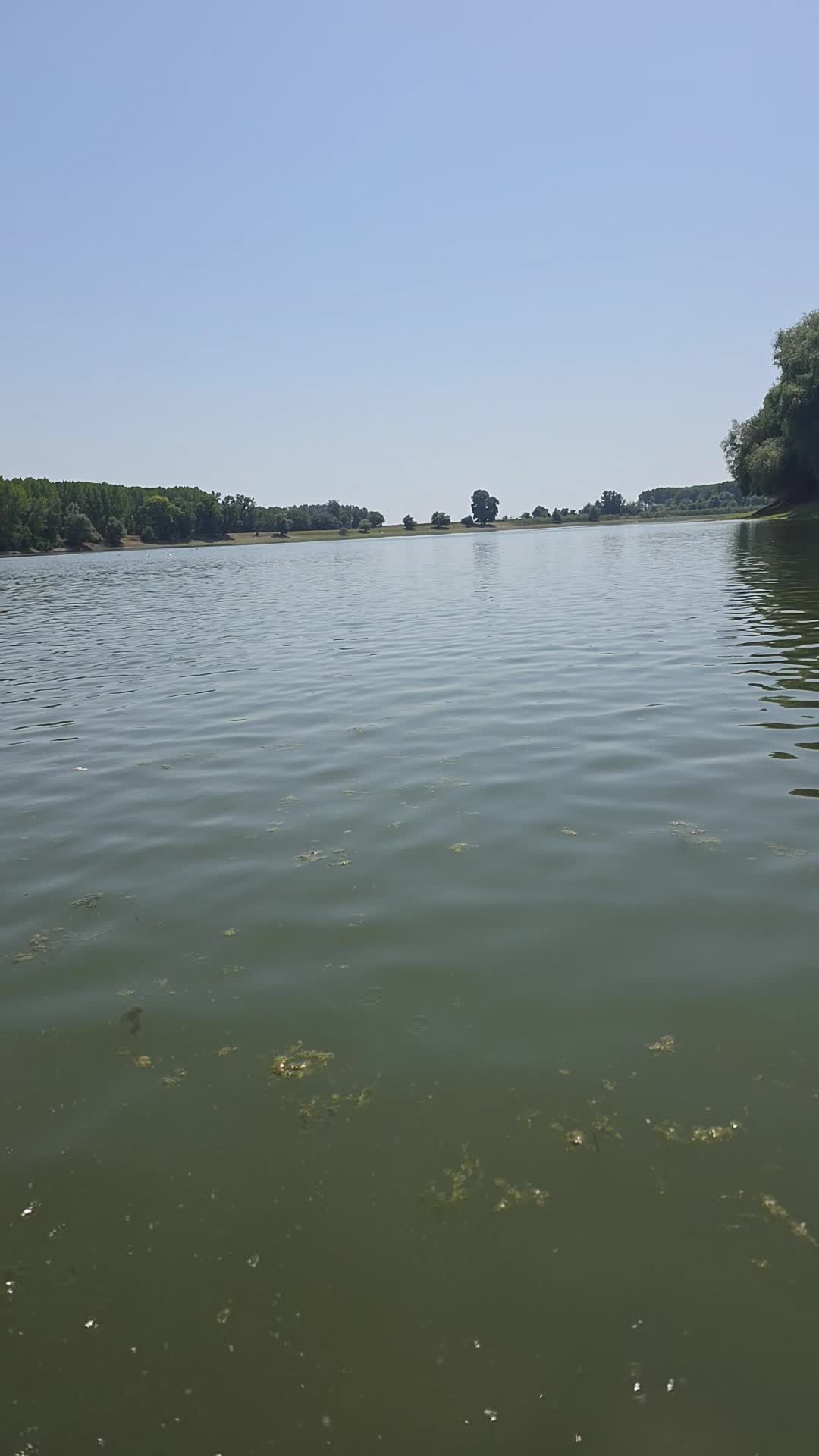 @Velea Nicusor