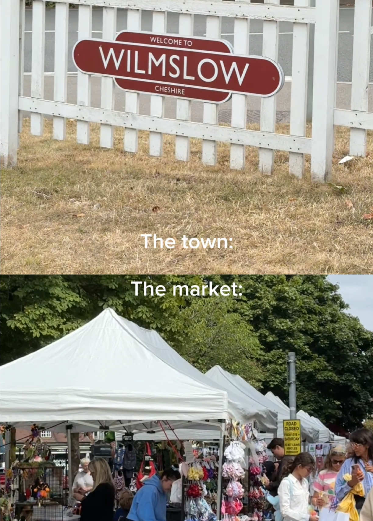 @The Market Co