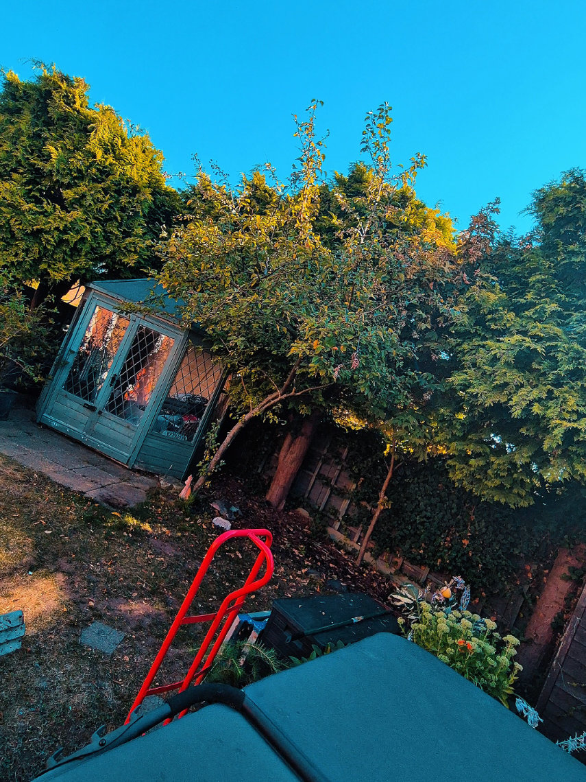 @AMC Garden Services