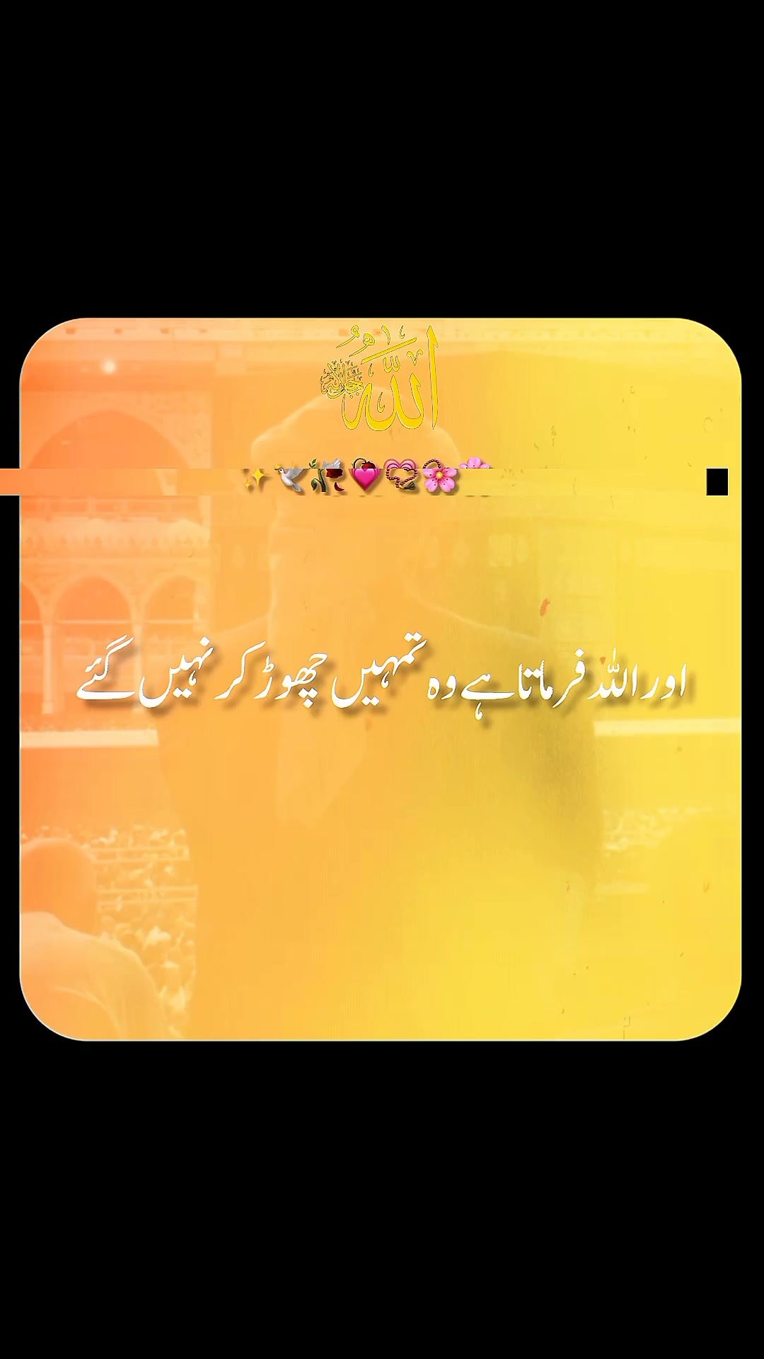 @✨dilawar edits✨