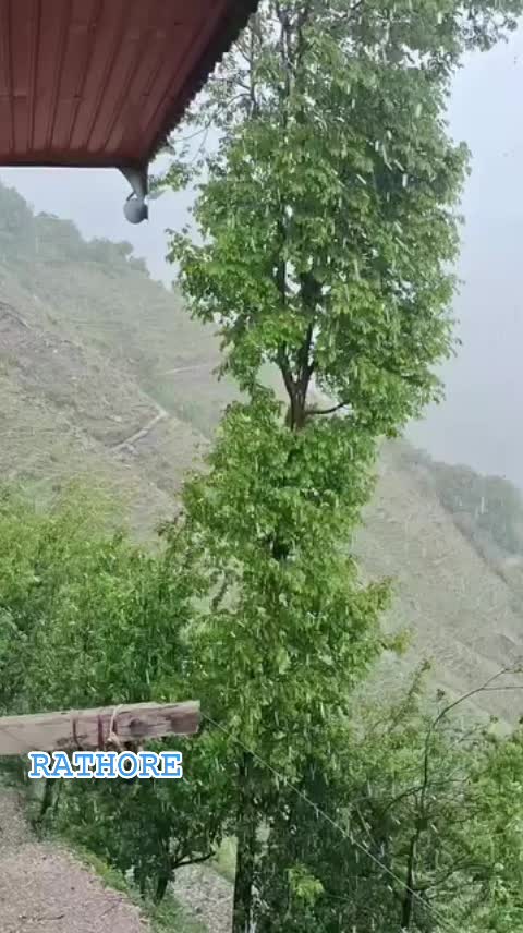 @Mohammad Zaheer Attari