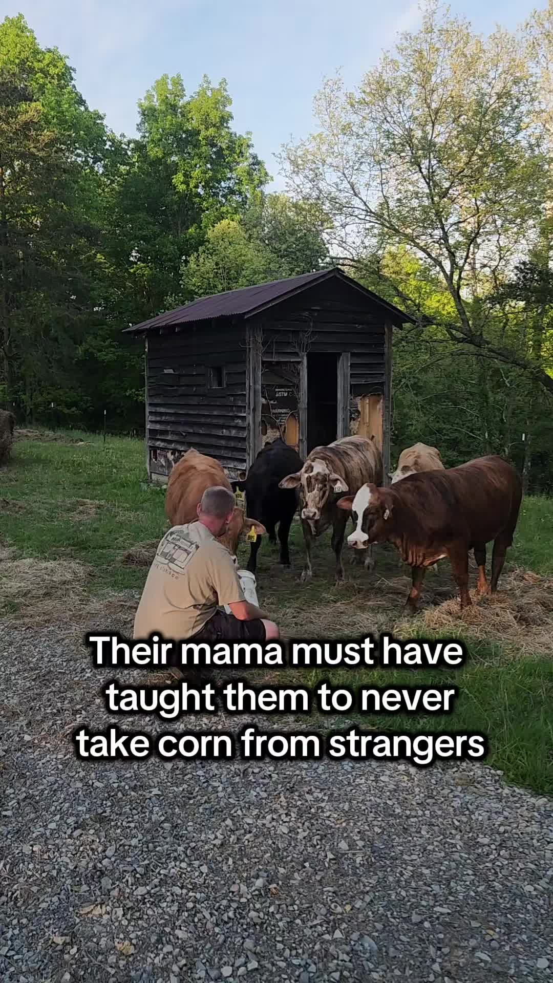 @Stephanie/Mom/Wife/PartTimeOT