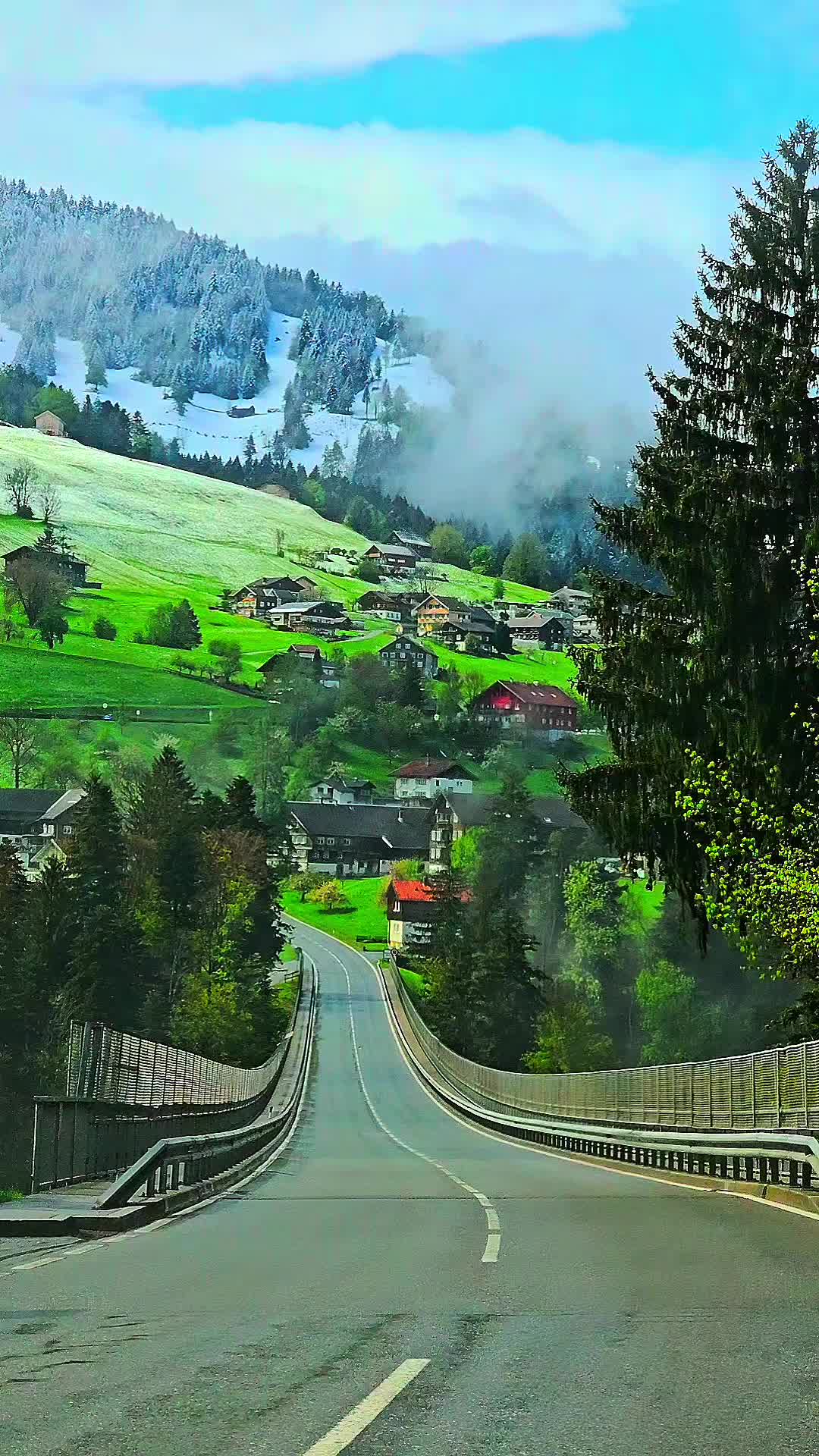 @🇨🇭başkan🇨🇭