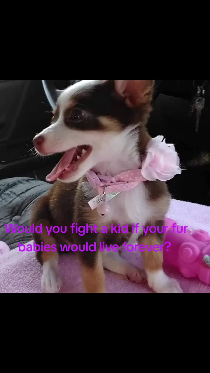 @Pinky Love Monroe