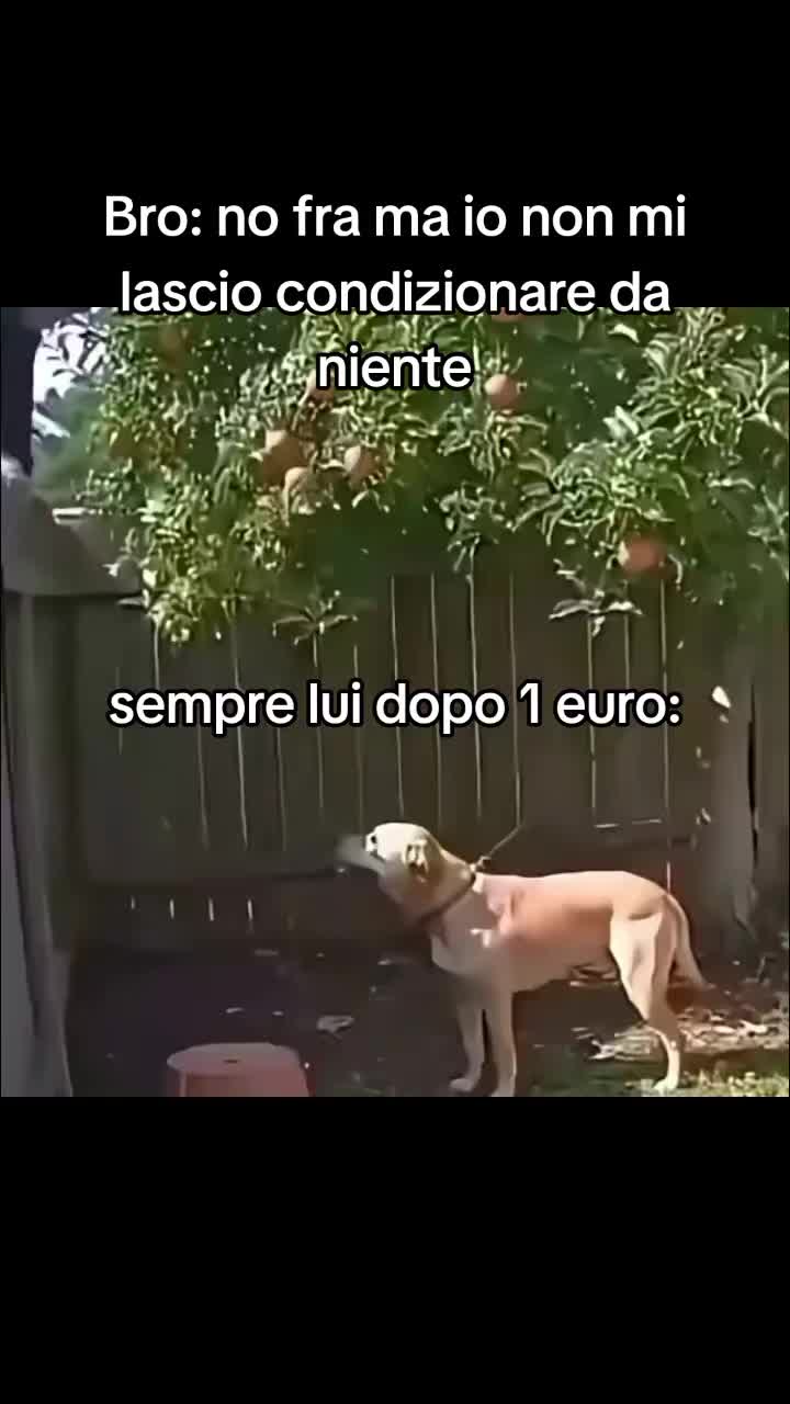 @il.TikToker.Sardo