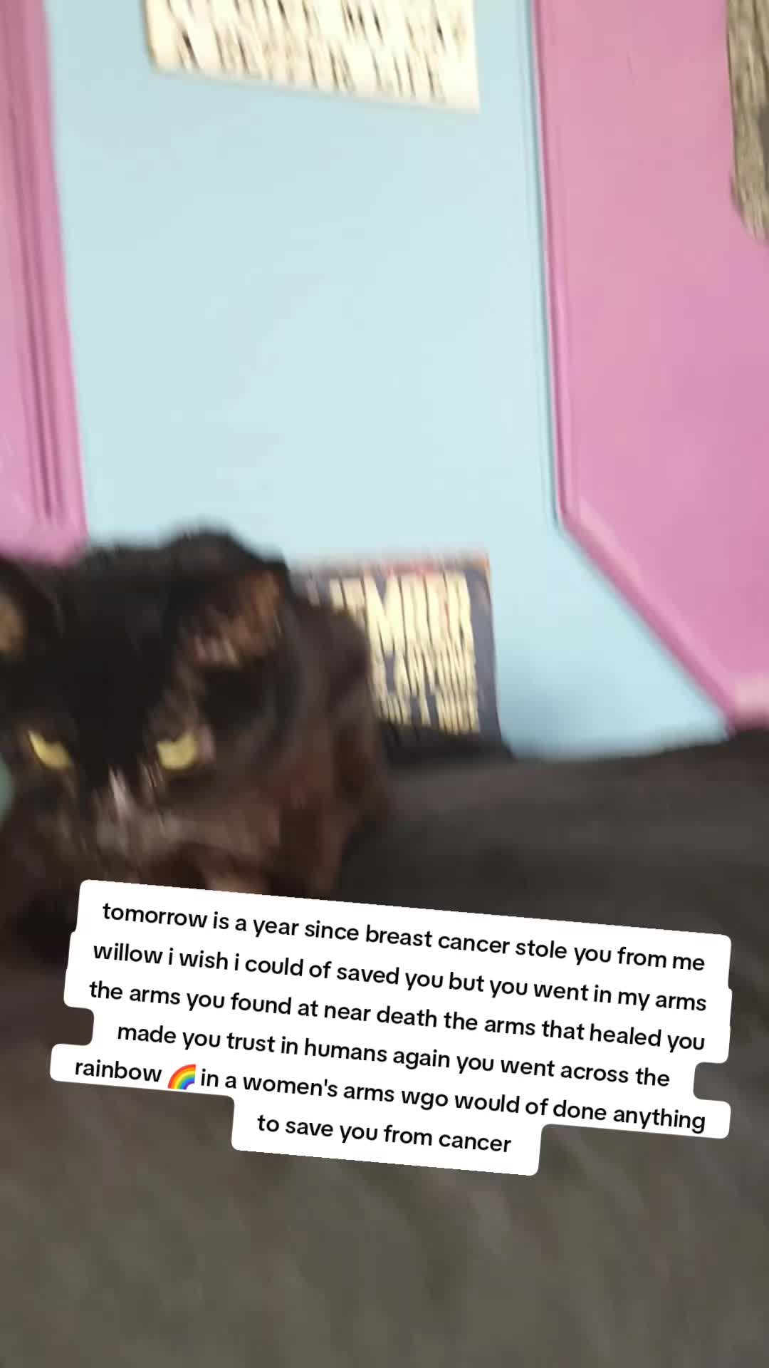 @ttvhexysable