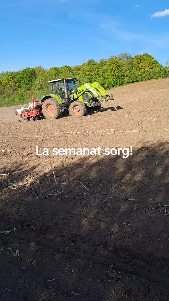 @levibalazs3