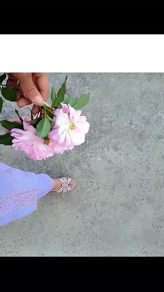 @Samiaعبّاسی