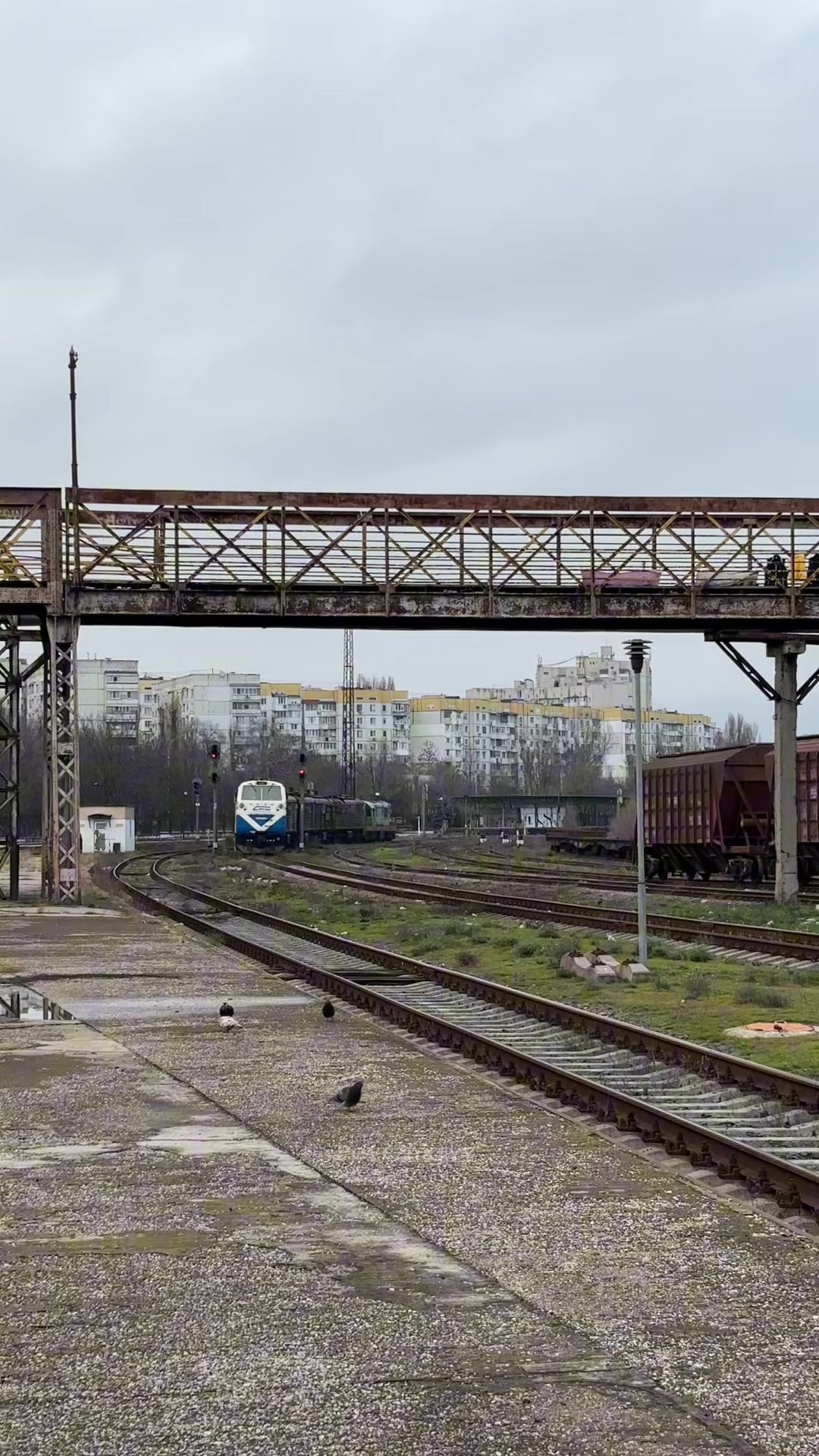 @𝙿𝚘𝚢𝚎𝚣𝚍𝚊𝚝𝚢𝚢🚂🇺🇦