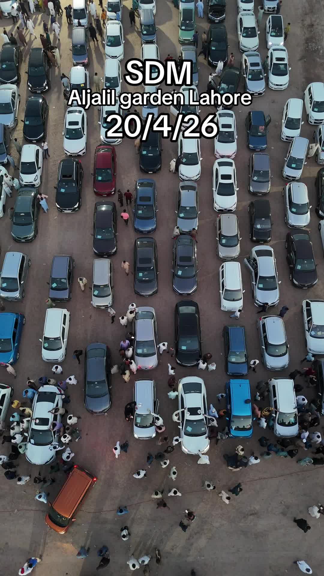 @SDM ! Shahzad Dogar Motors