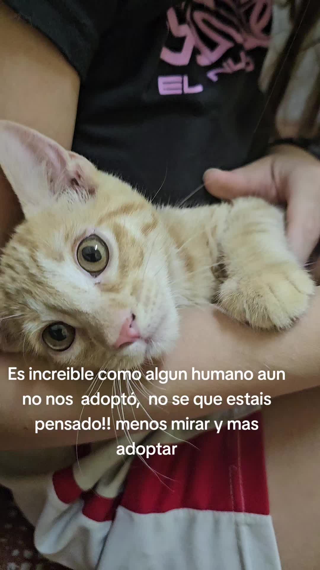 @Ronporsiempre
