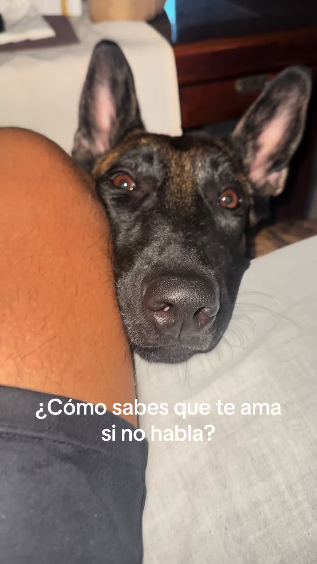 @Lobalobita