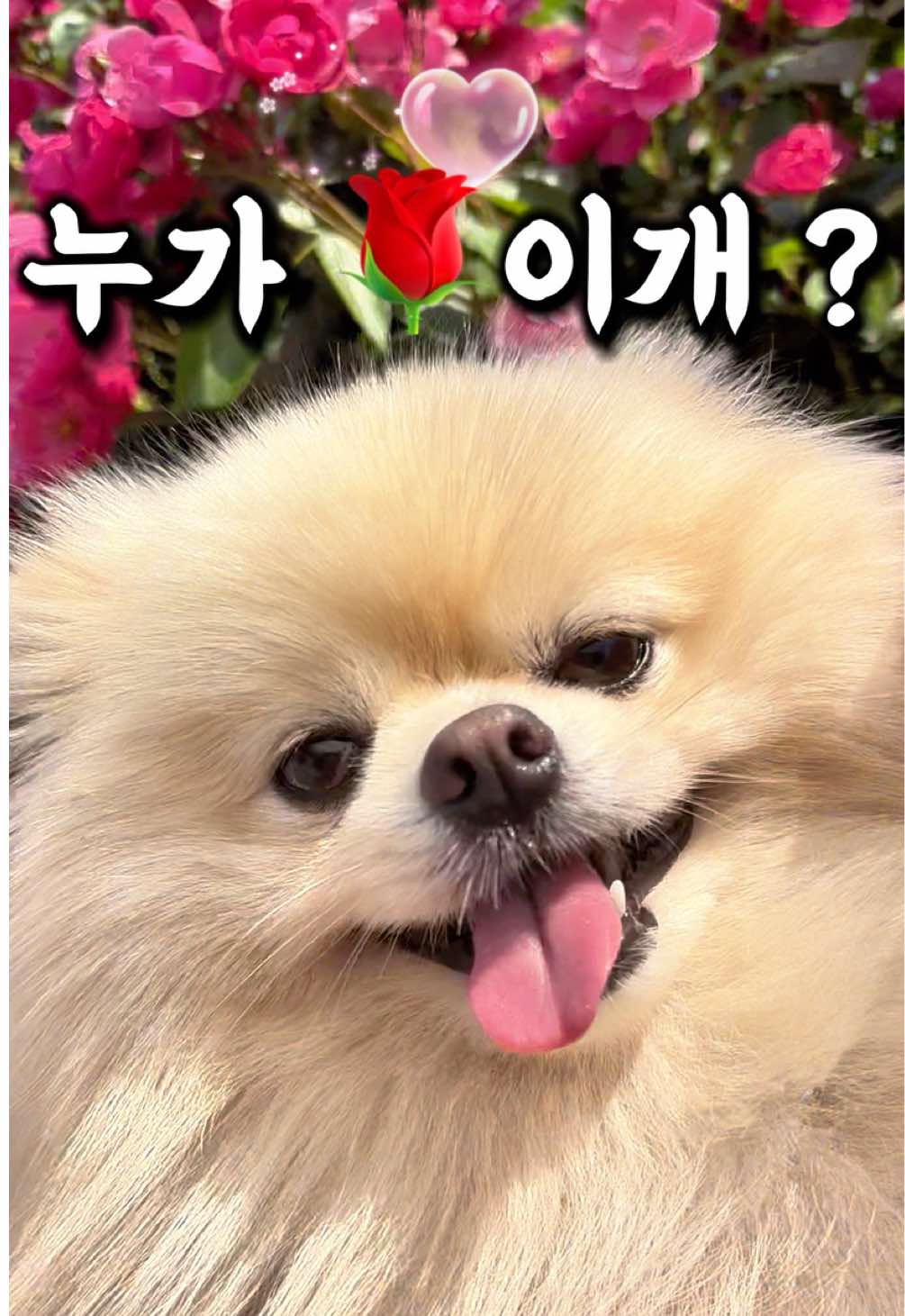 @뿌쇽🐻&zwj;❄️🤍