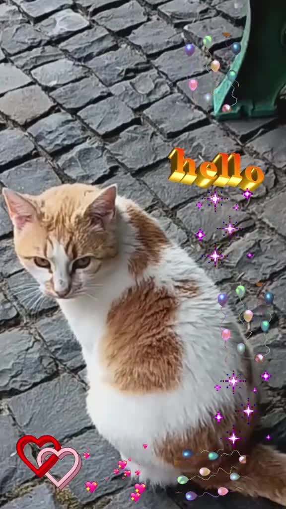 @Babsi