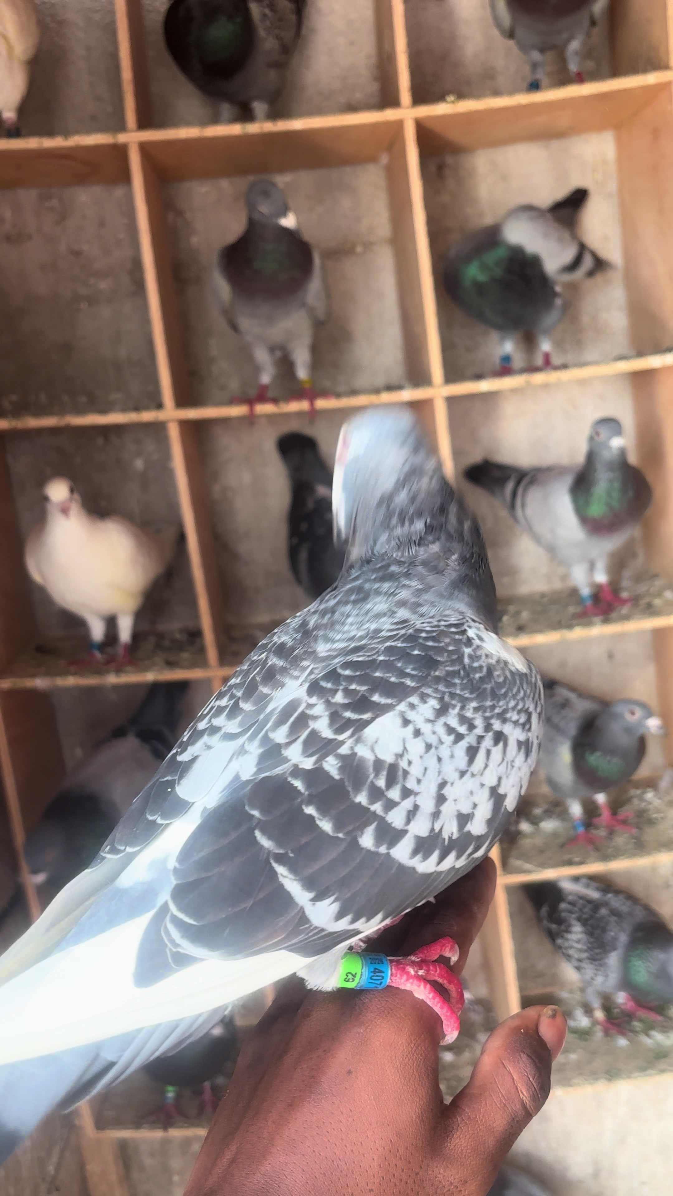 @OMZOLOFT🕊🦜🇸🇳