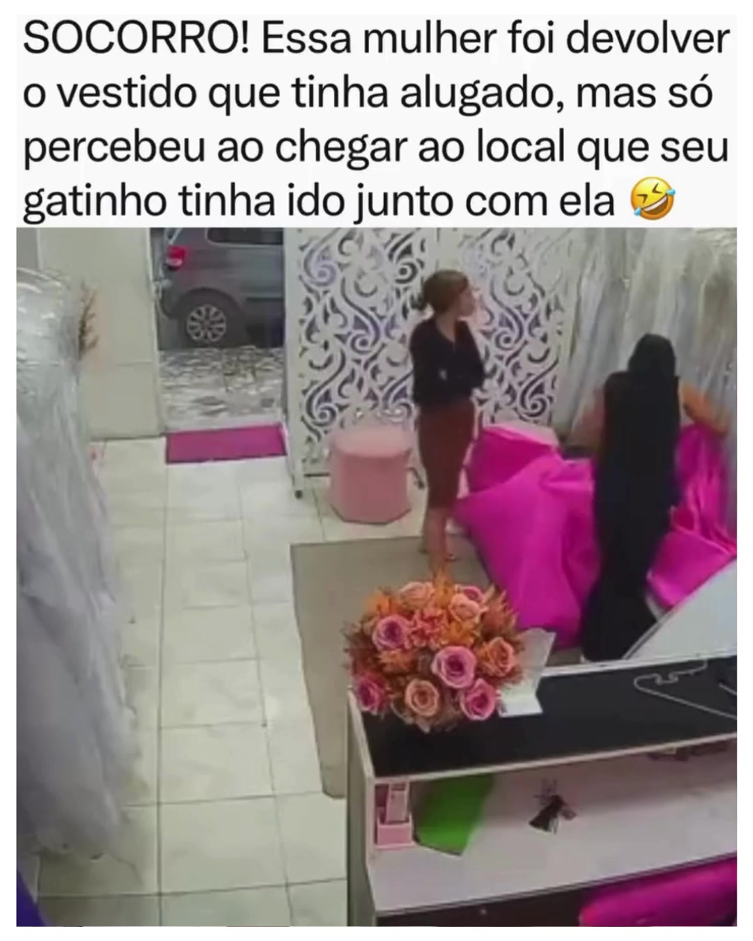 @Alfinetei