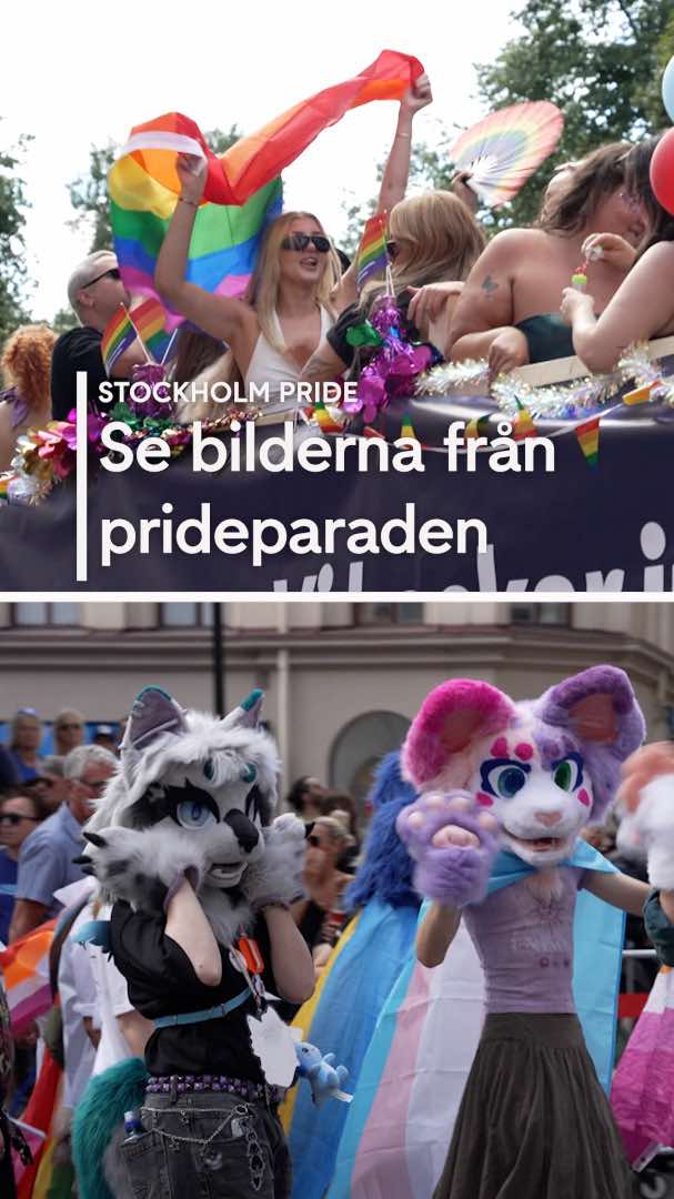 @TV4 Nyheterna