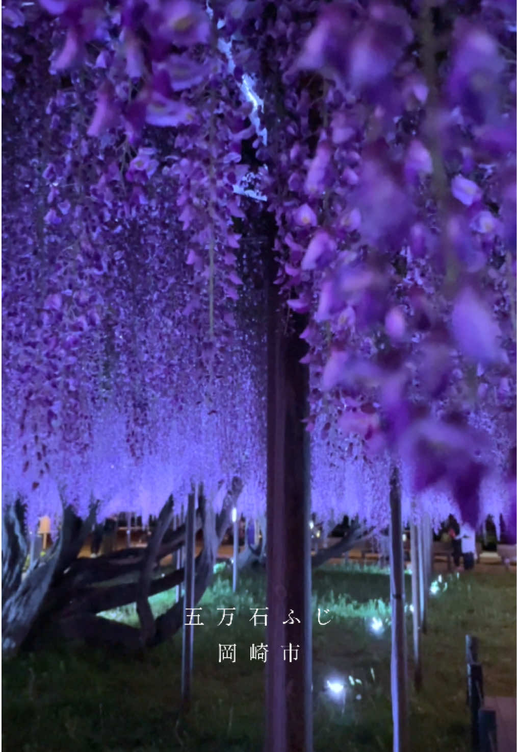 @Aichi_Traveler🎌