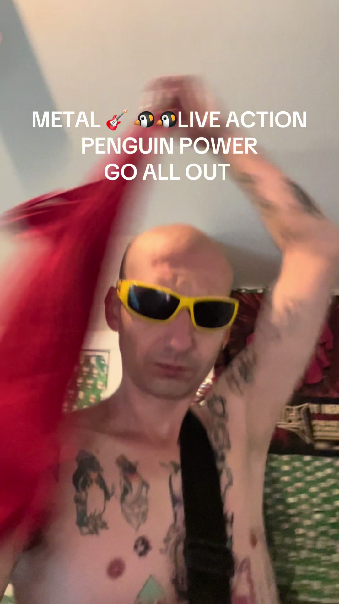 @kevinelseg