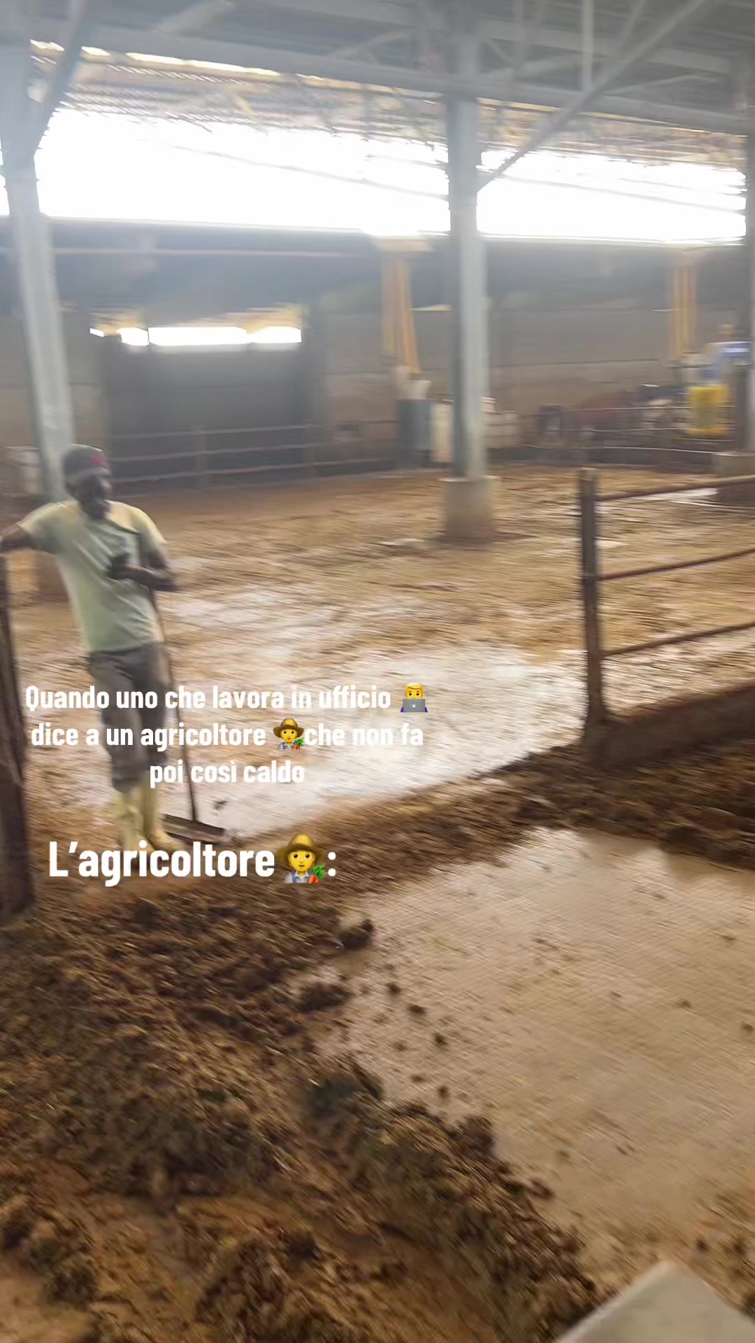 @Mirko Farmer