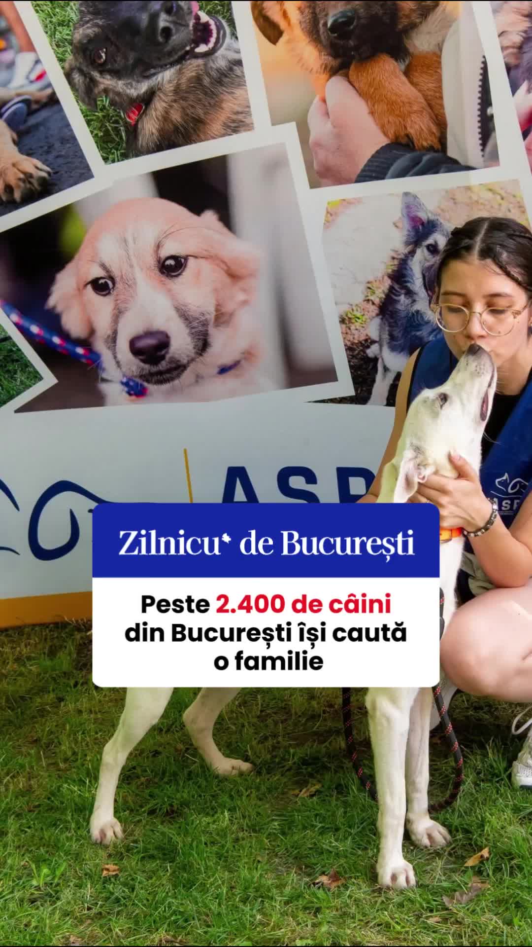@Zilnicu' de București