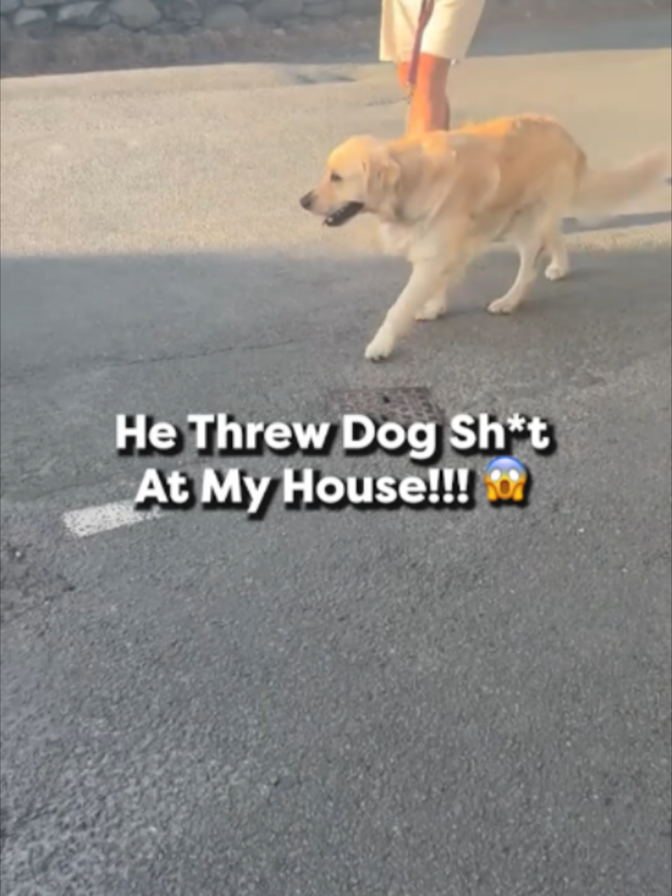 @Go Fetch