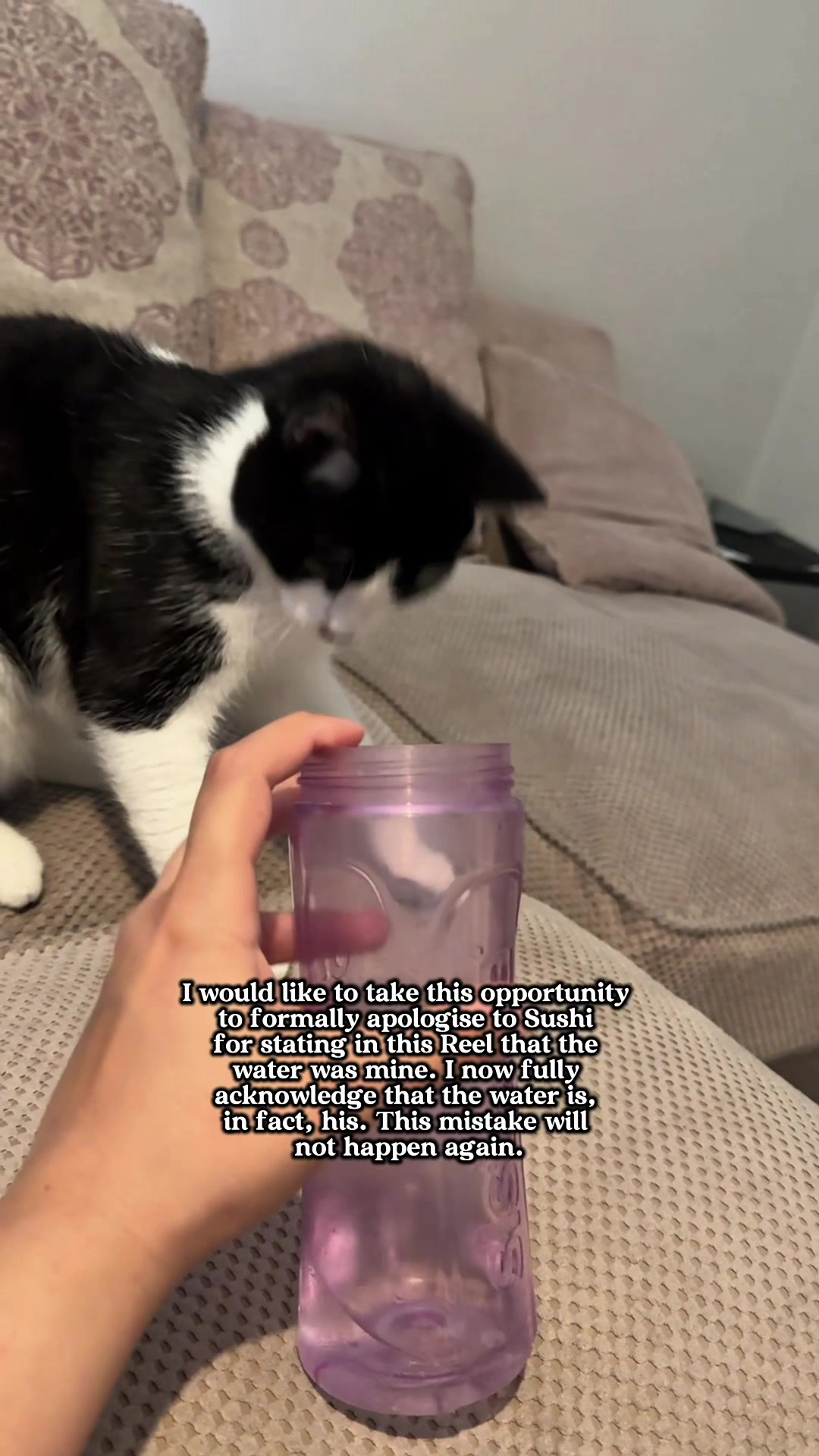 @slavic_cat_mum