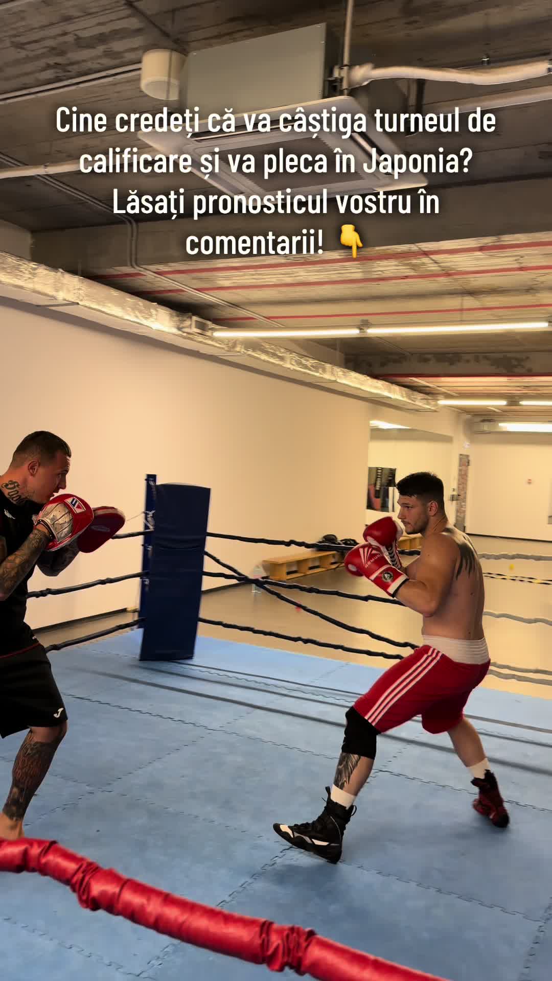 @C.S RAPID BUCUREȘTI - BOX 🥊