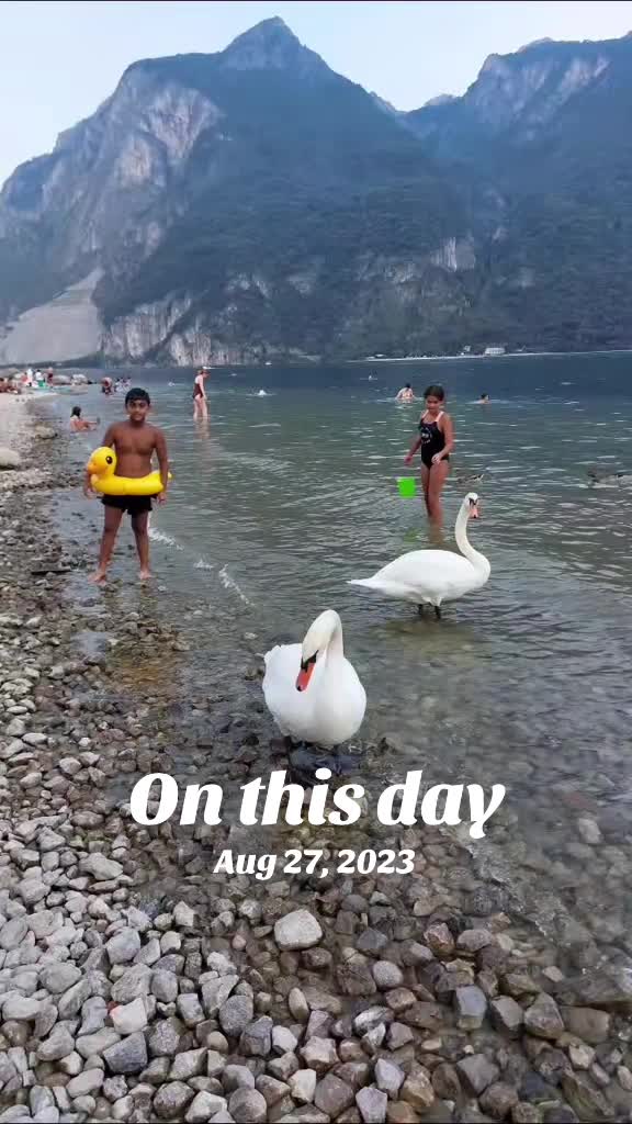@veron_windy