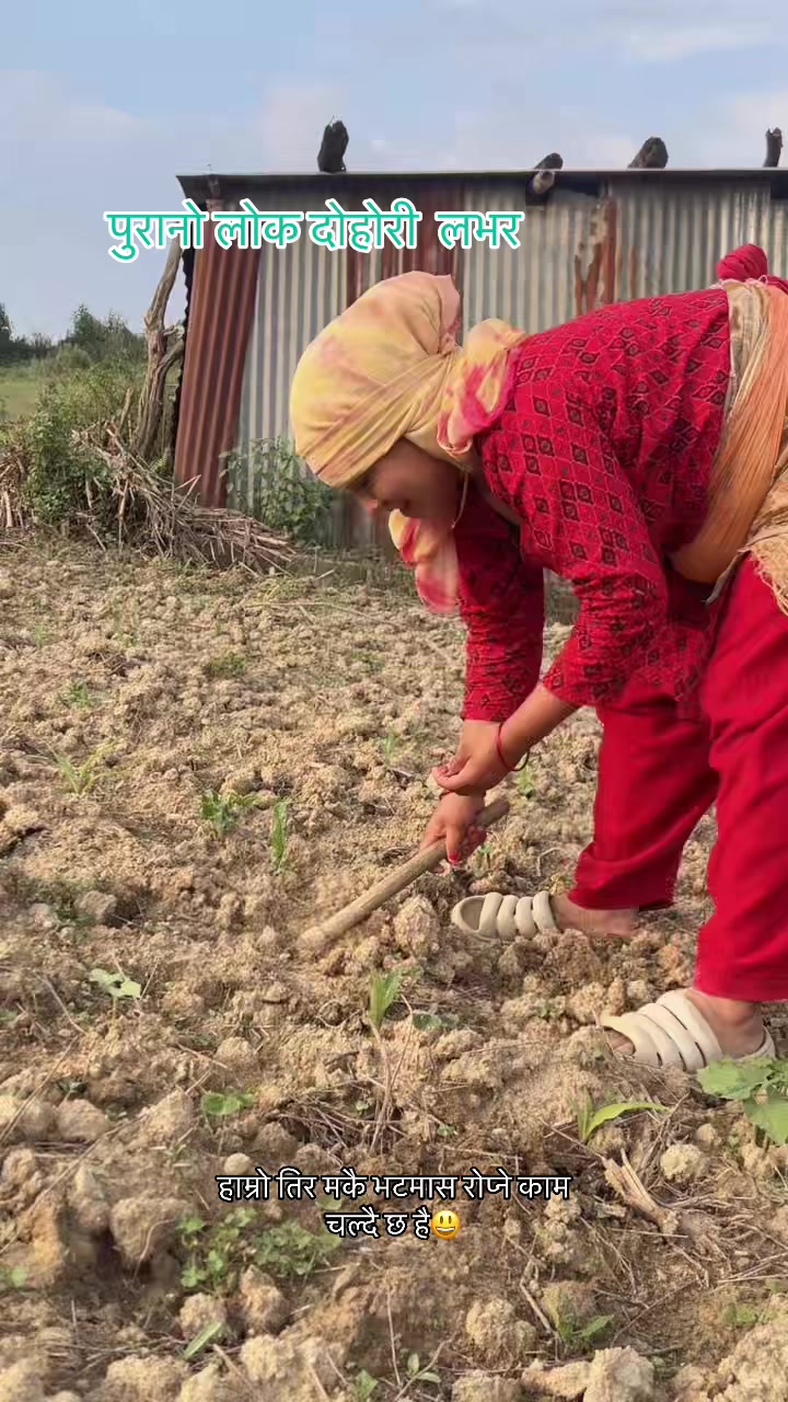 @malatibasnet38