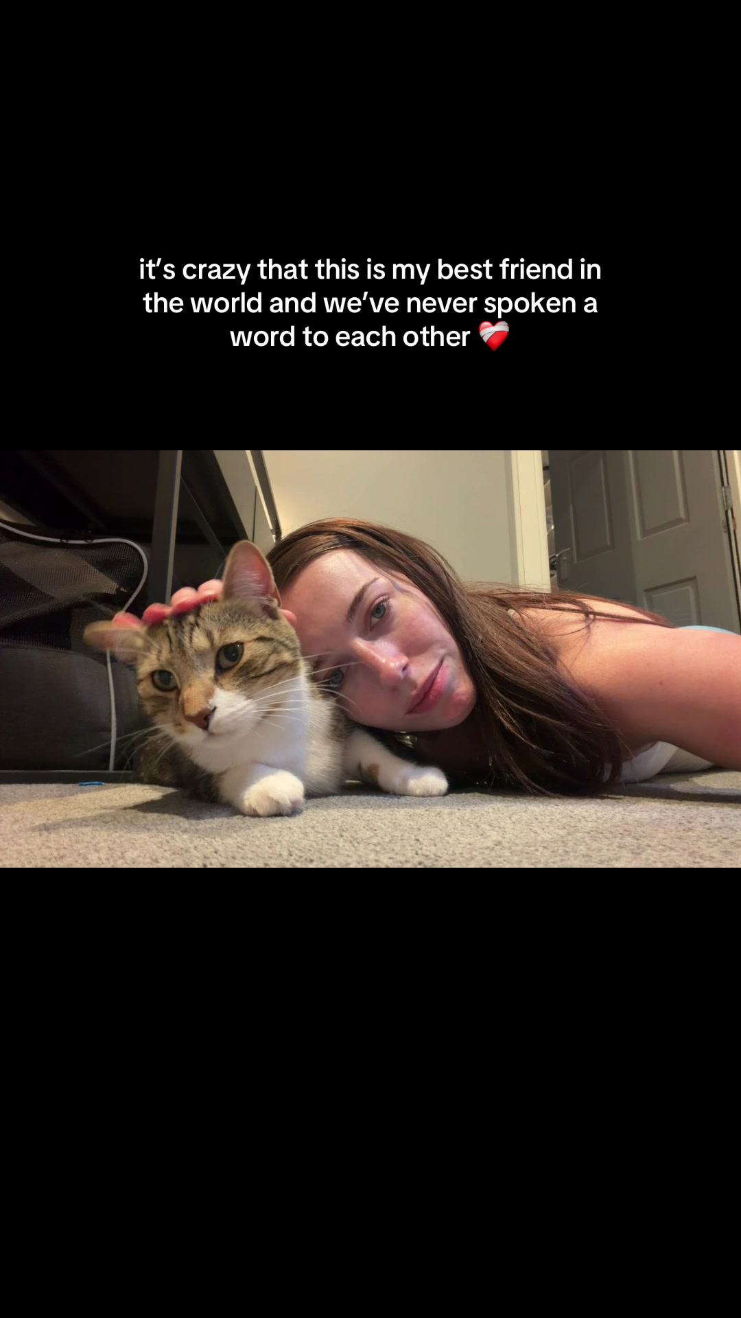 @Erica Roberts