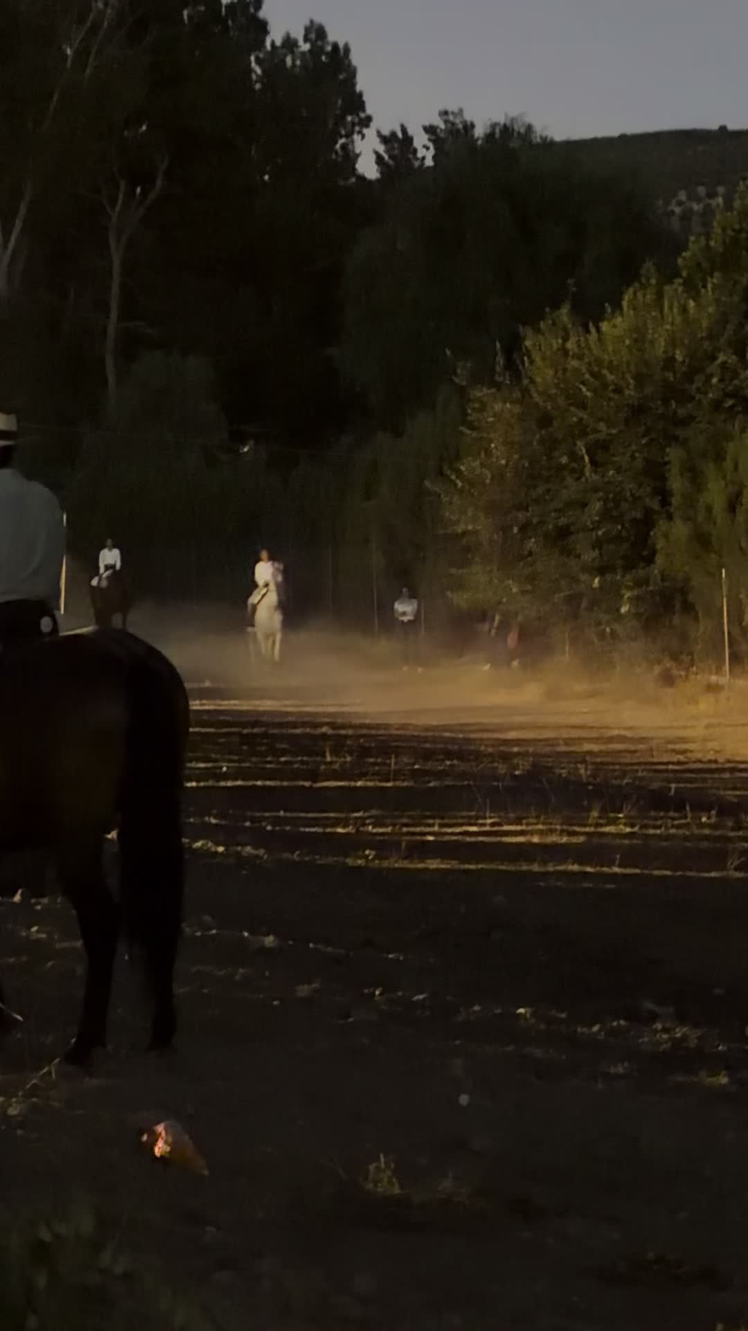 @Sandra Molina🐎🇪🇸