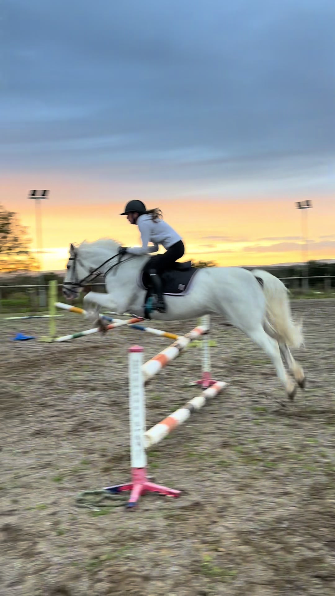 @Emma Corr 🐎