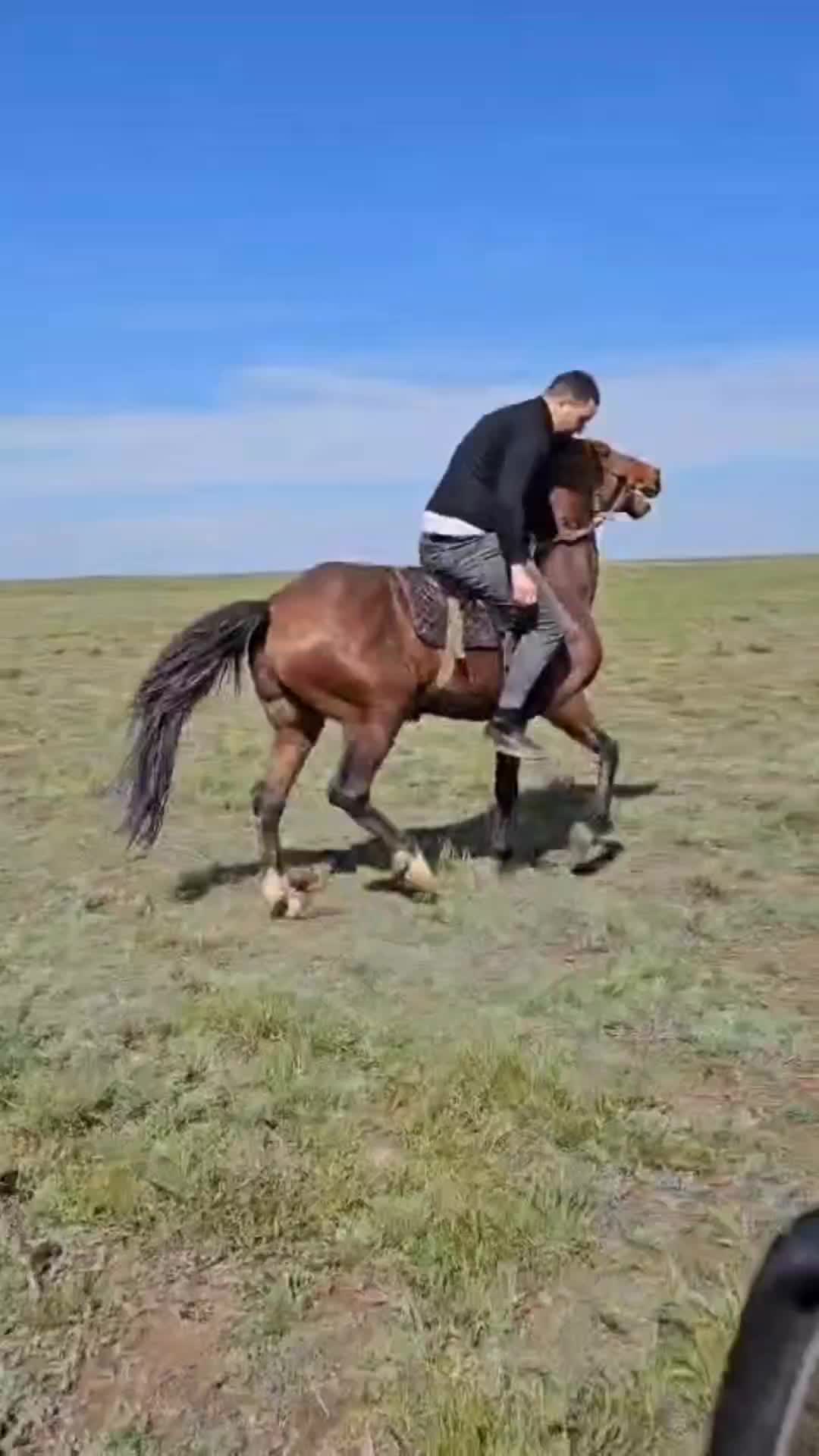 @Vəli Baba