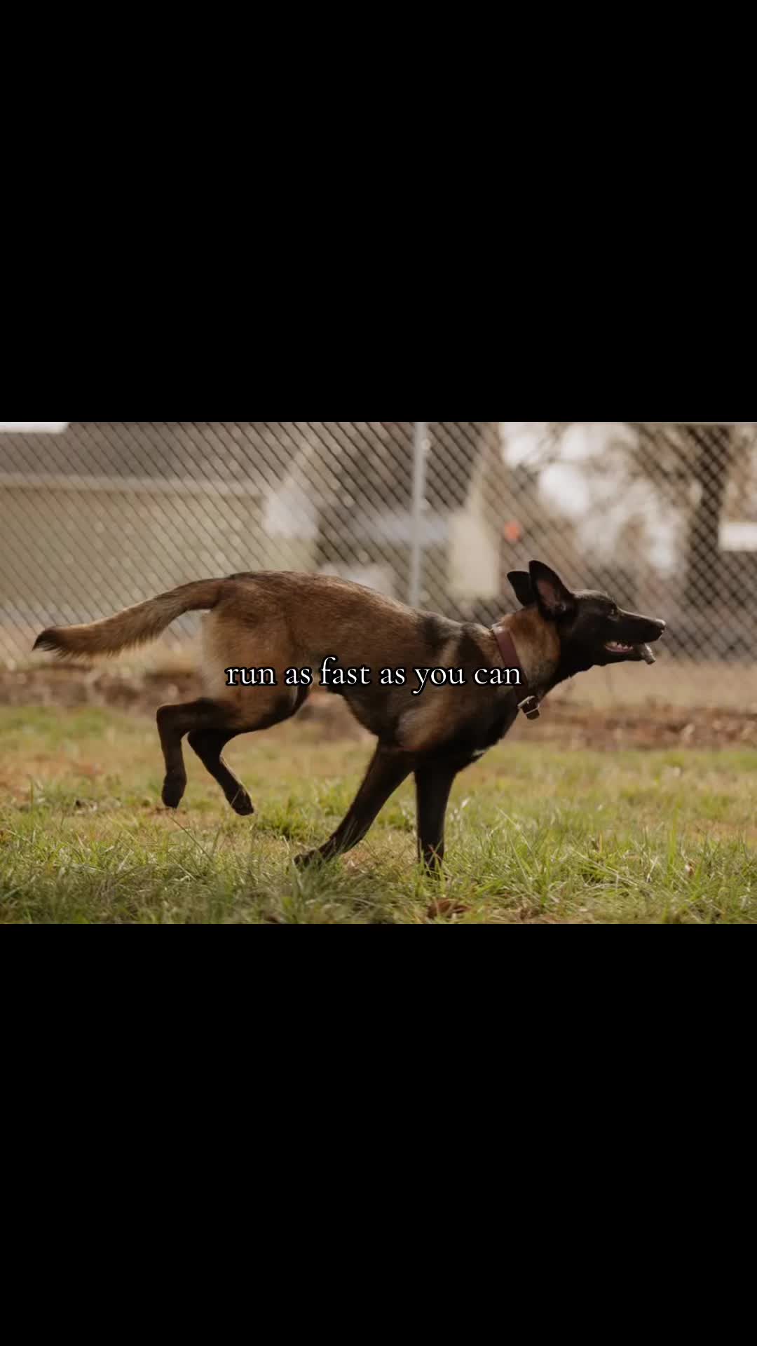 @goofysnadi