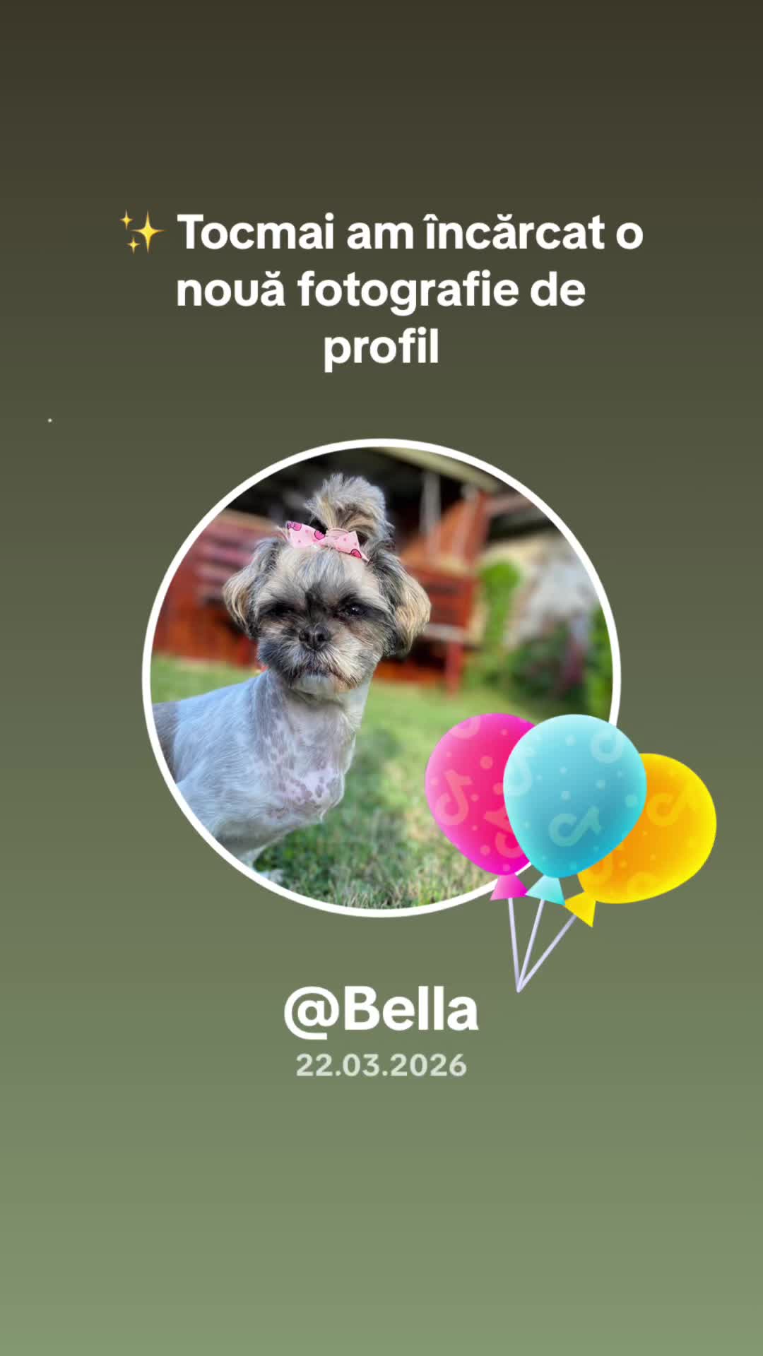 @Bella🐶💕