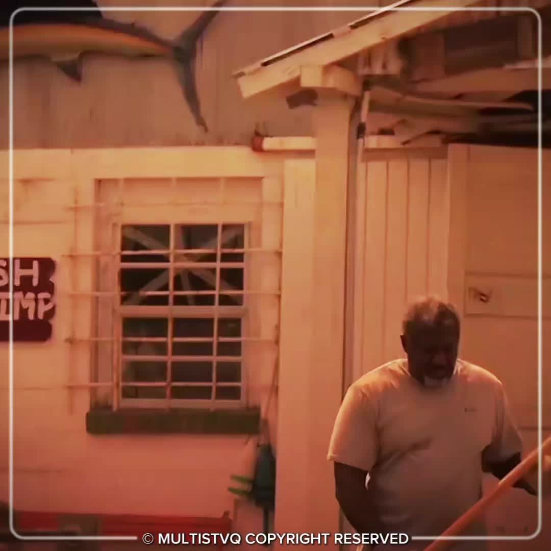 @Multistvq