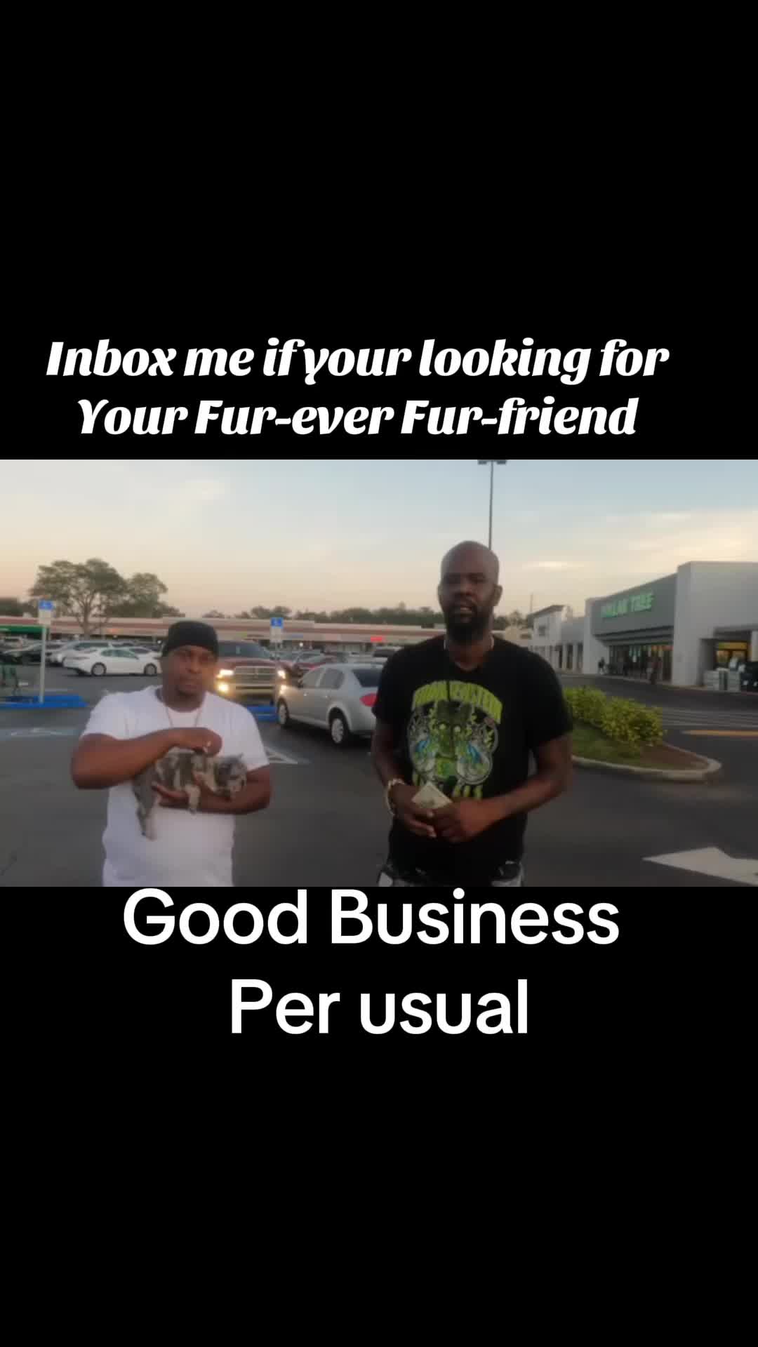 @Frankenstein Kennels