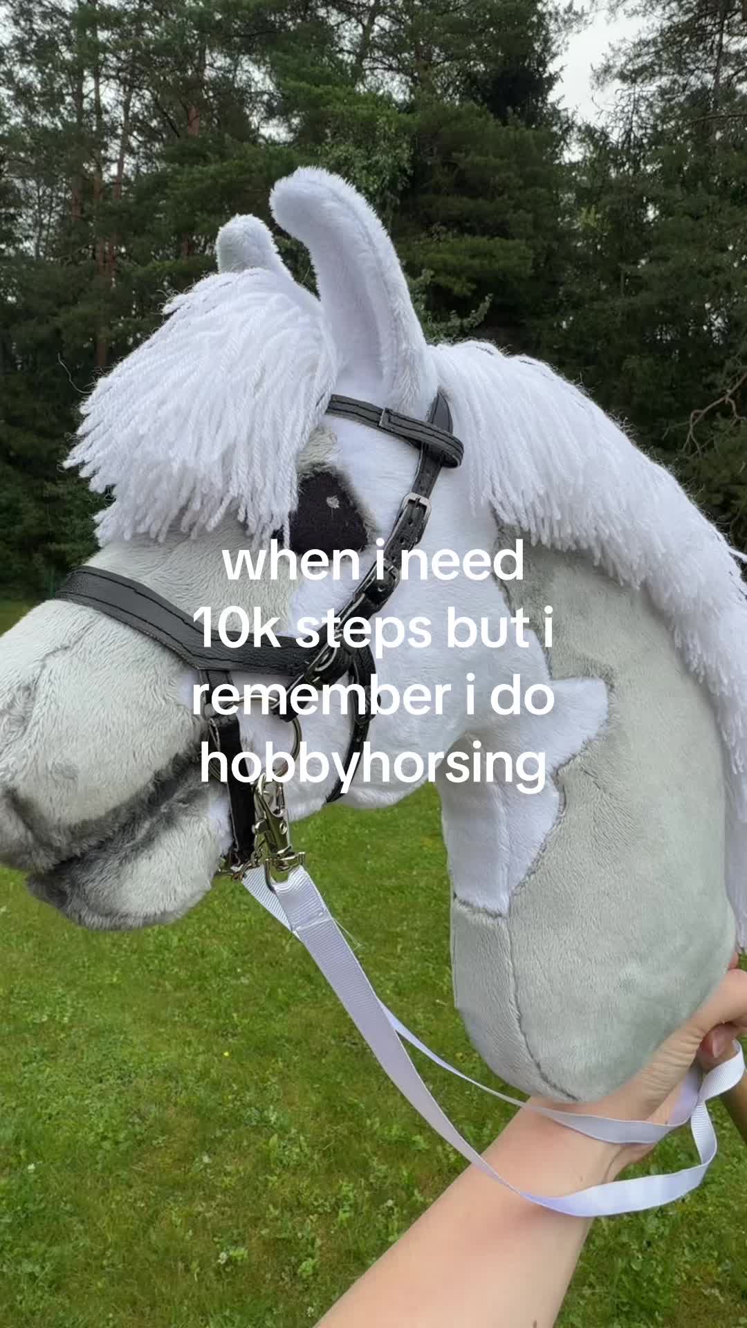 @BShobbyhorses