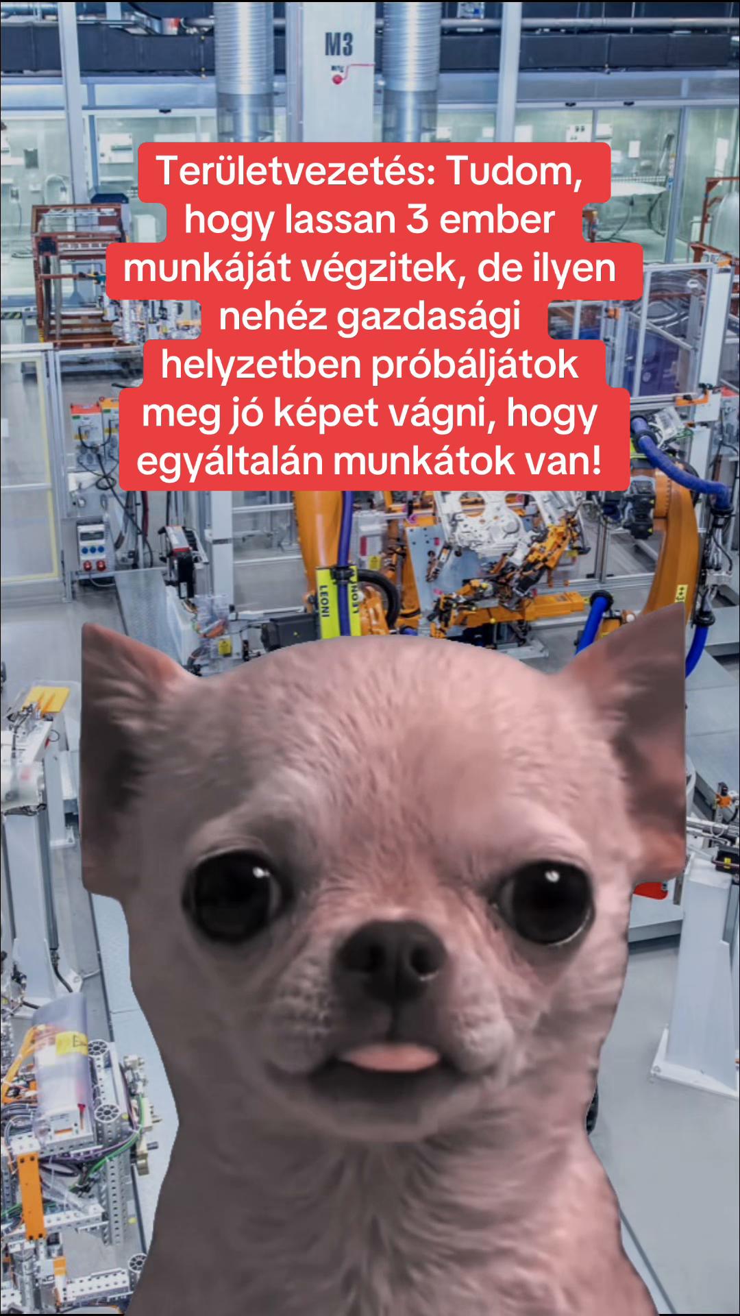 @MemeFactory