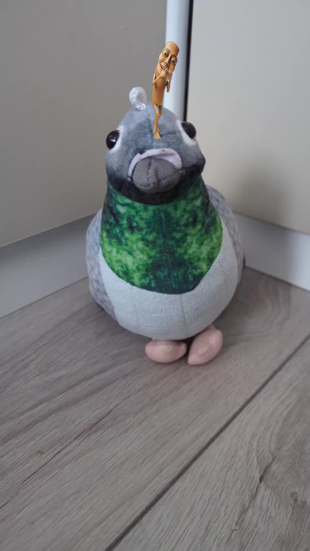 @pigeon_og