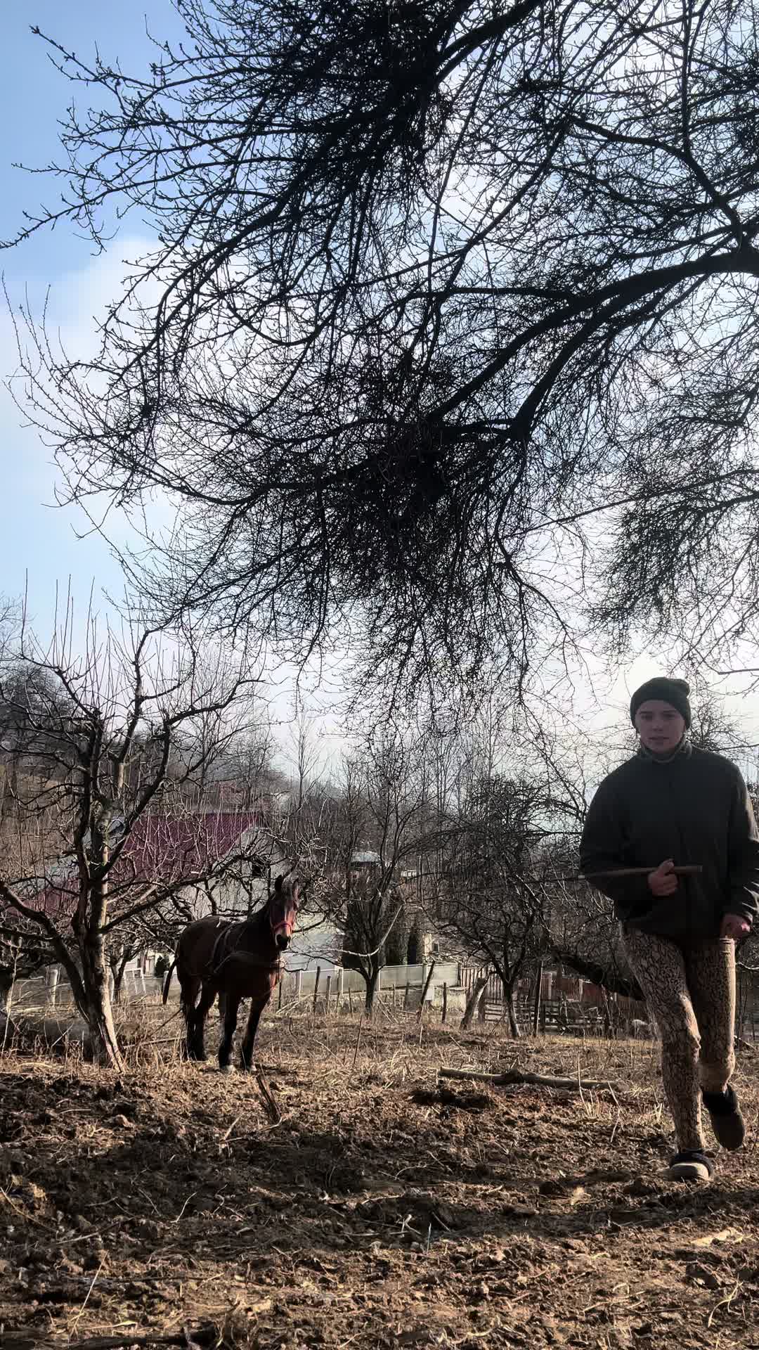 @Lupu Elena-Leonida