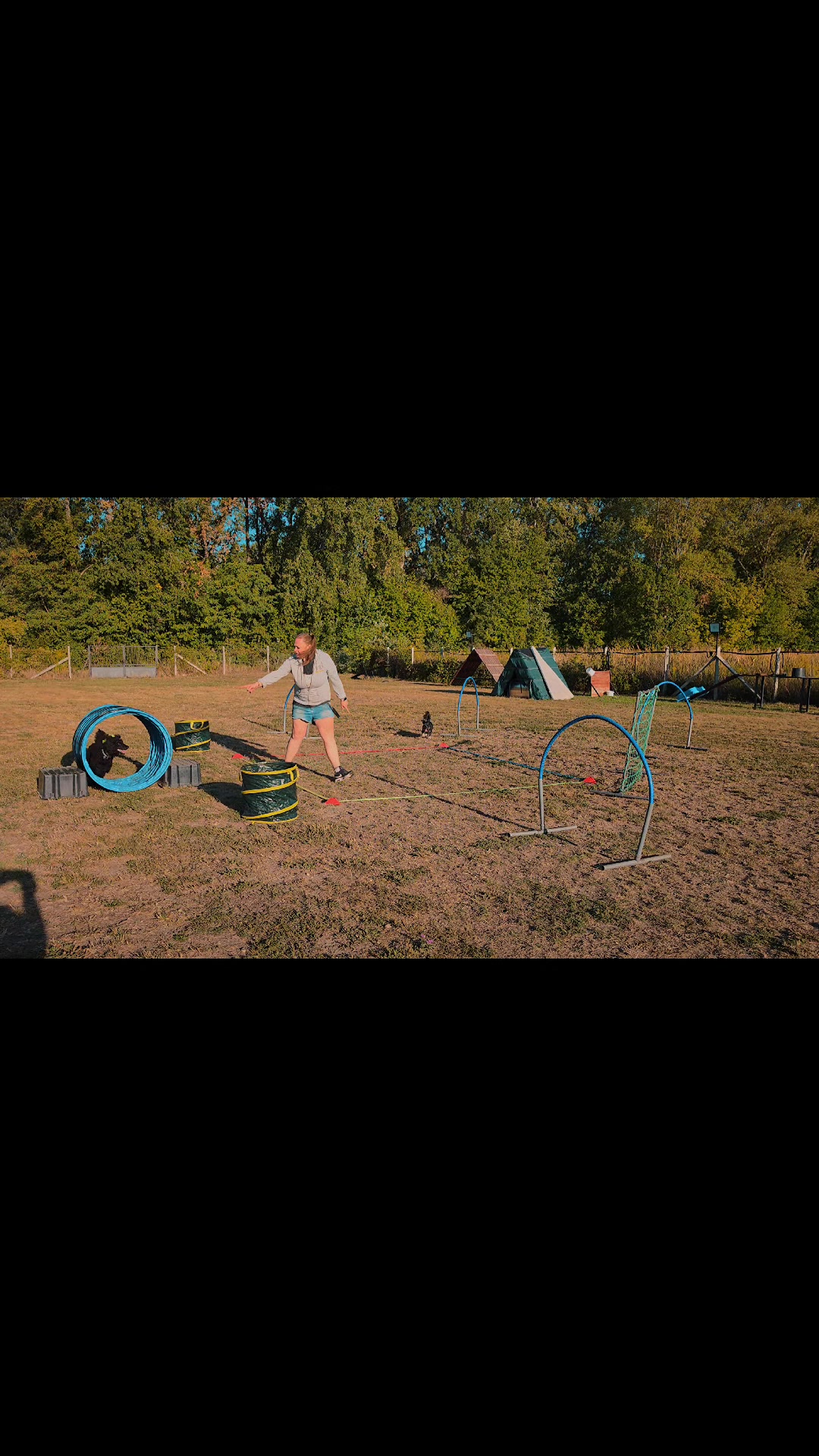 @Szigeti Kutyasuli 2015