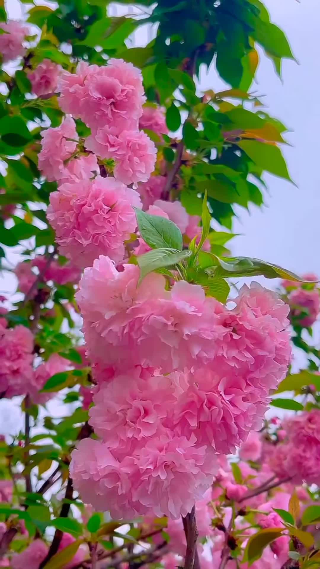 @๐๐ ๐ ๐ โ๐๐ซ ๐๐ ๐๐ฌ๐ง