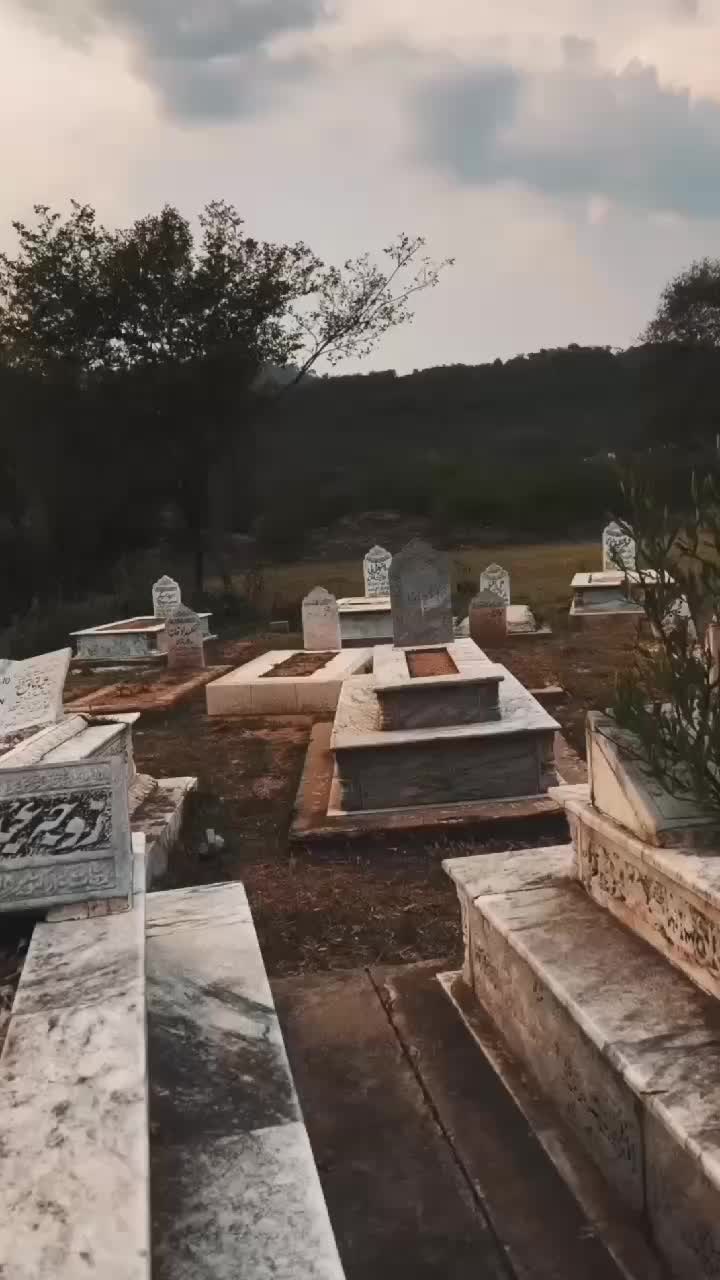 @شائستہ رباب