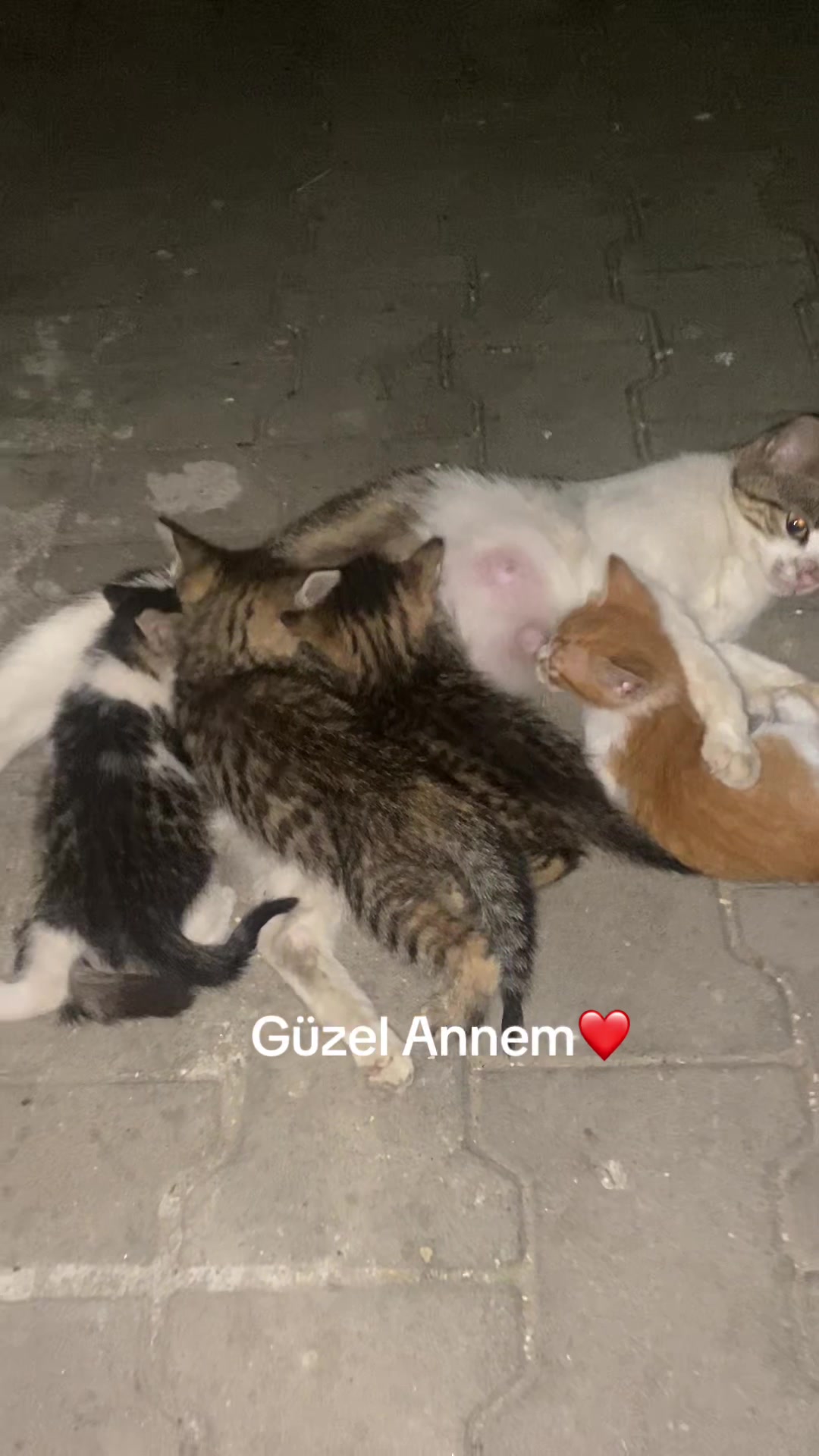 @İsimsiz