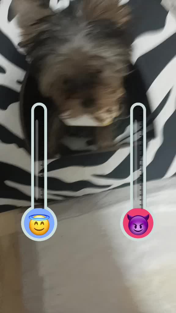 @MED 呢信息