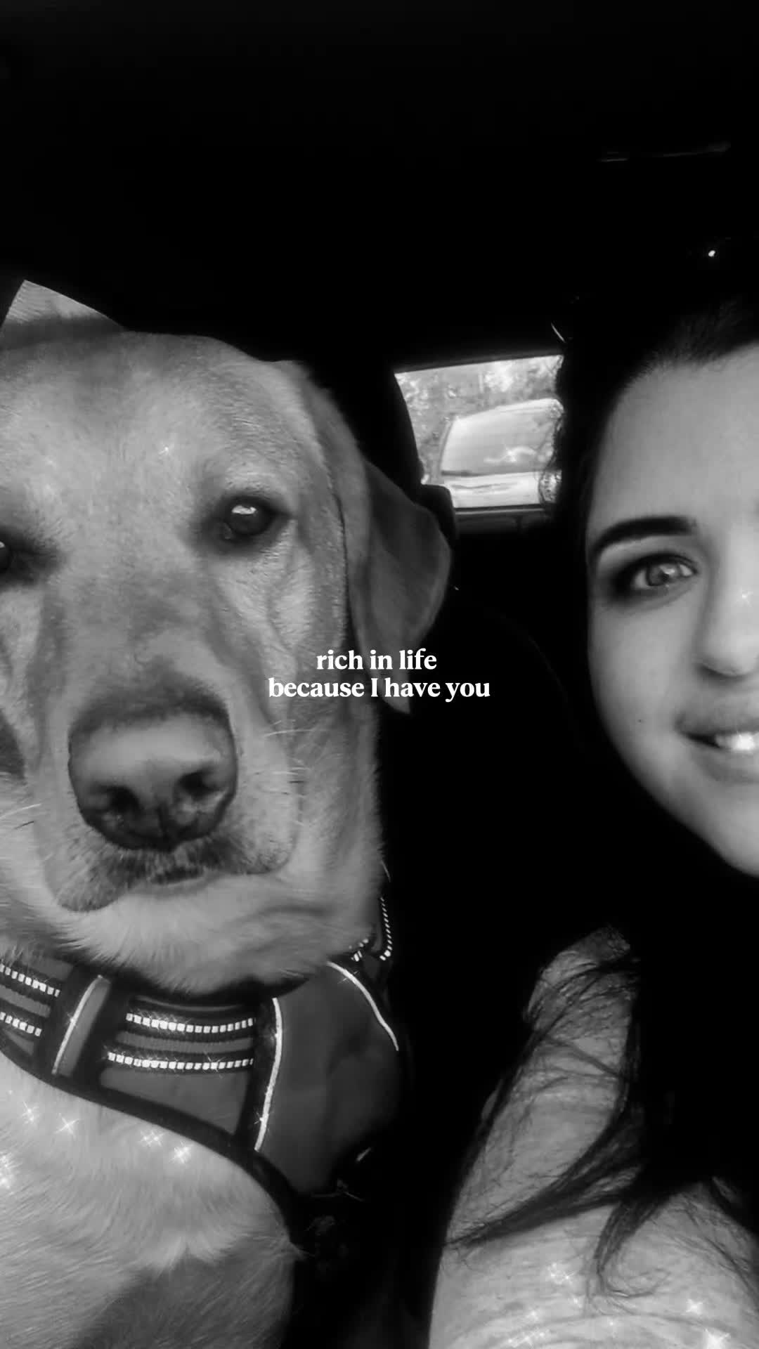@Muffin The Lab 💛
