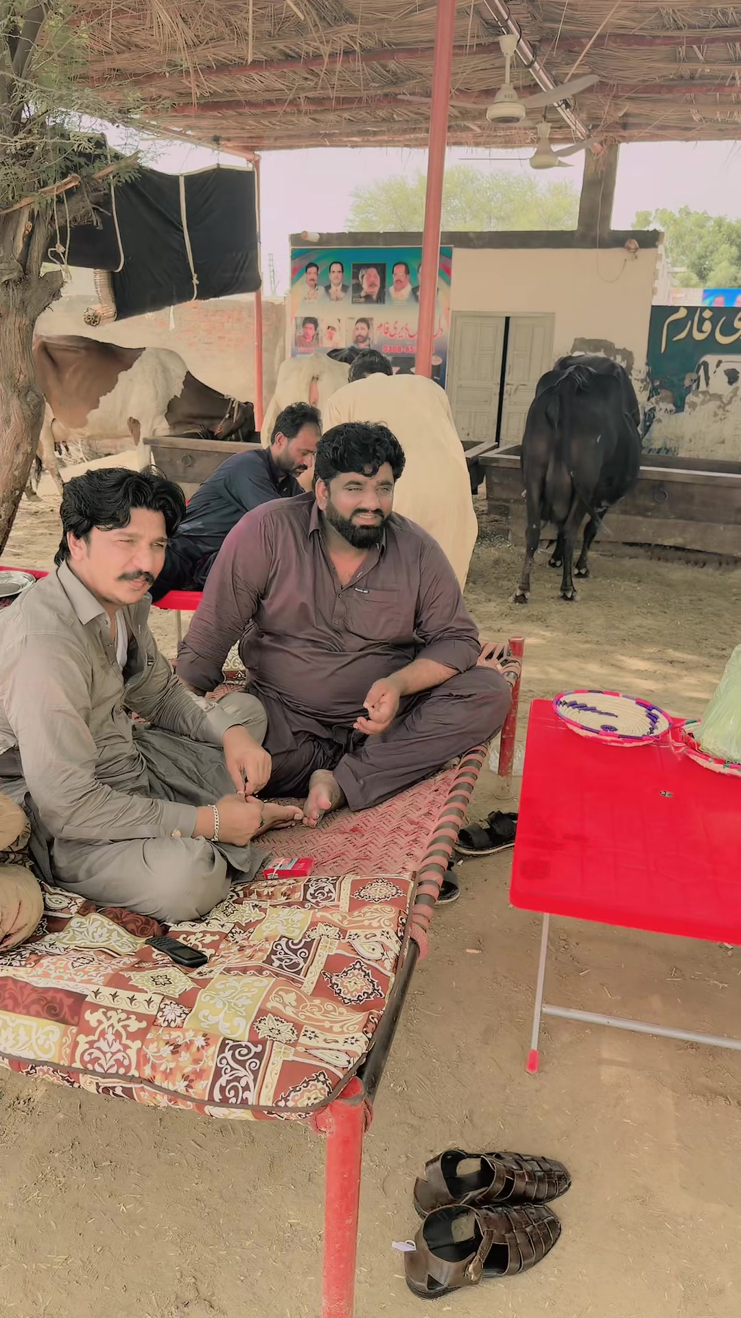 @Dill Muhammad