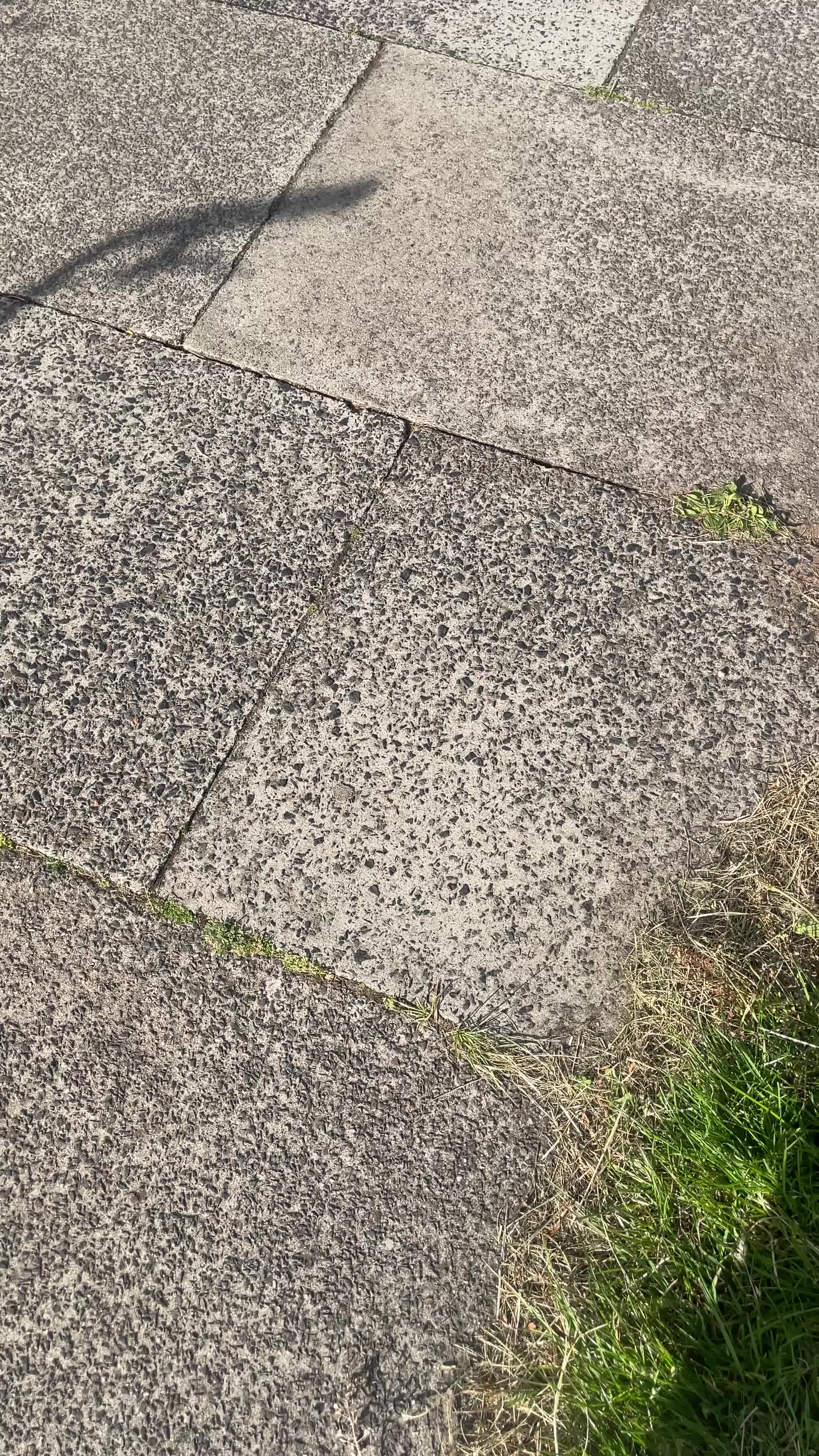 @Elliott 𖢇